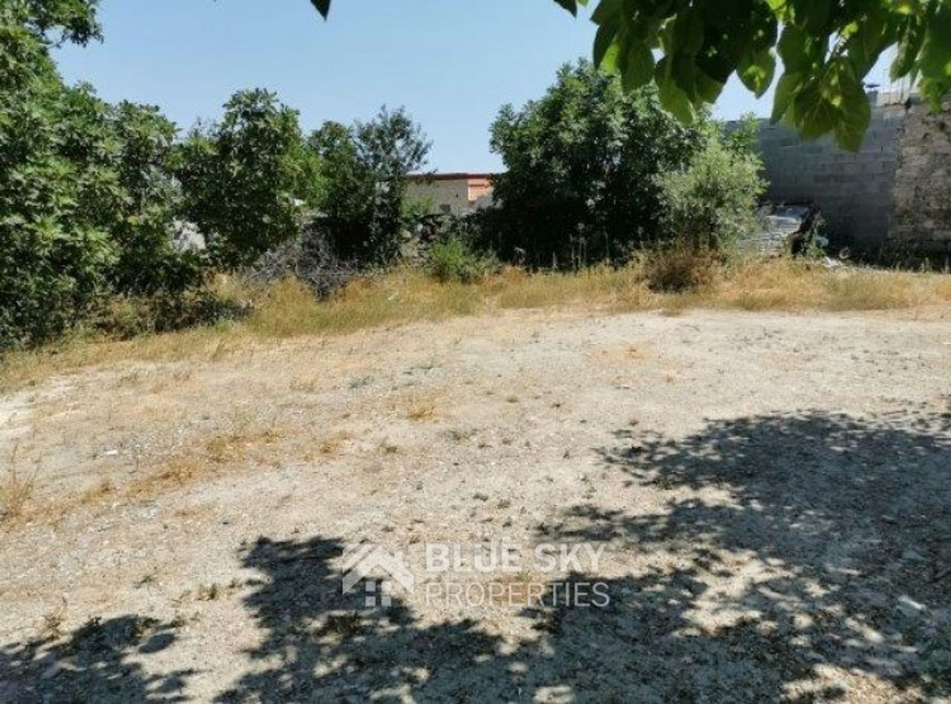 Land in Soularavia, Lemesos 11492818