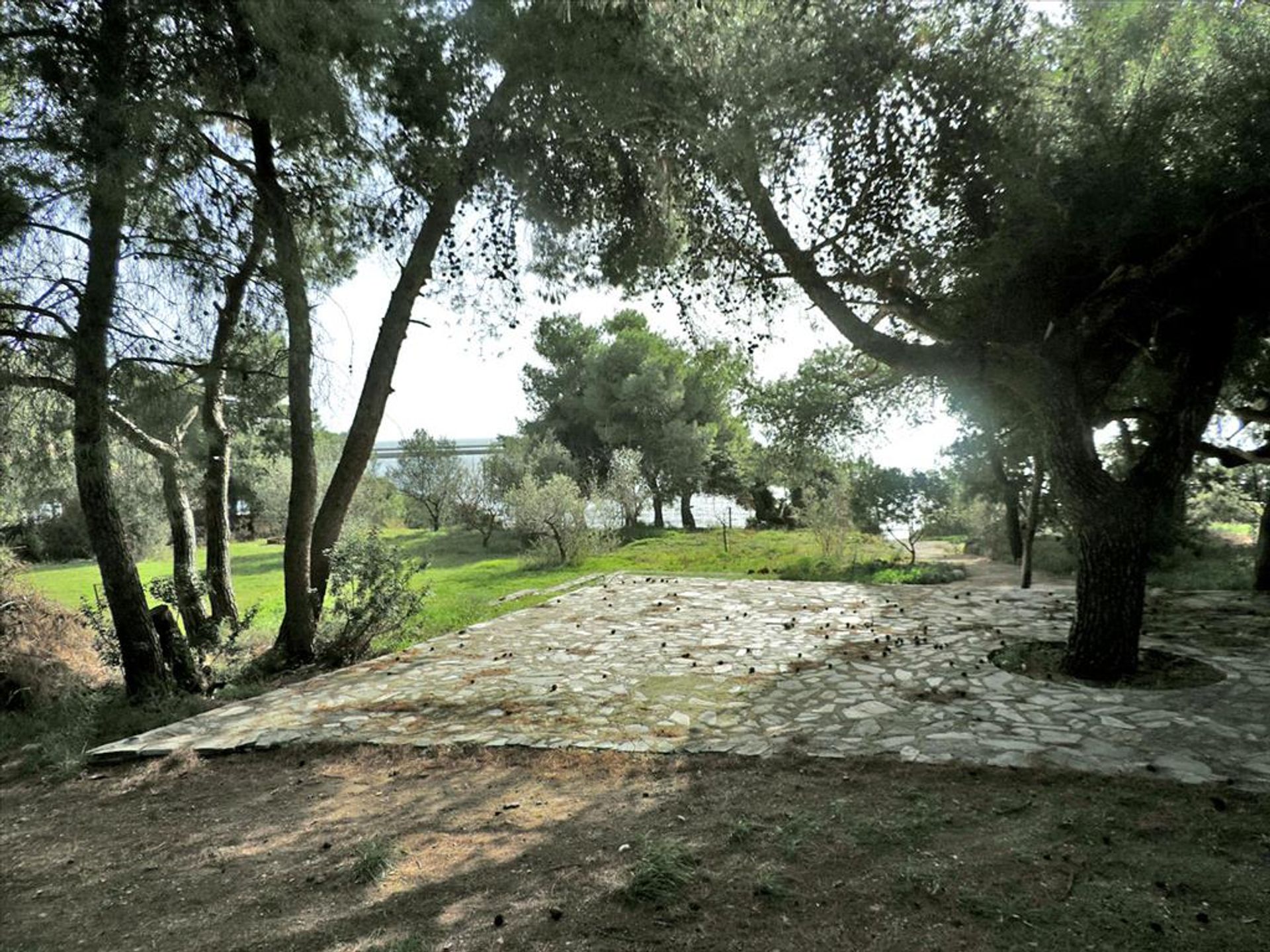 Γη σε Eretria,  11493386