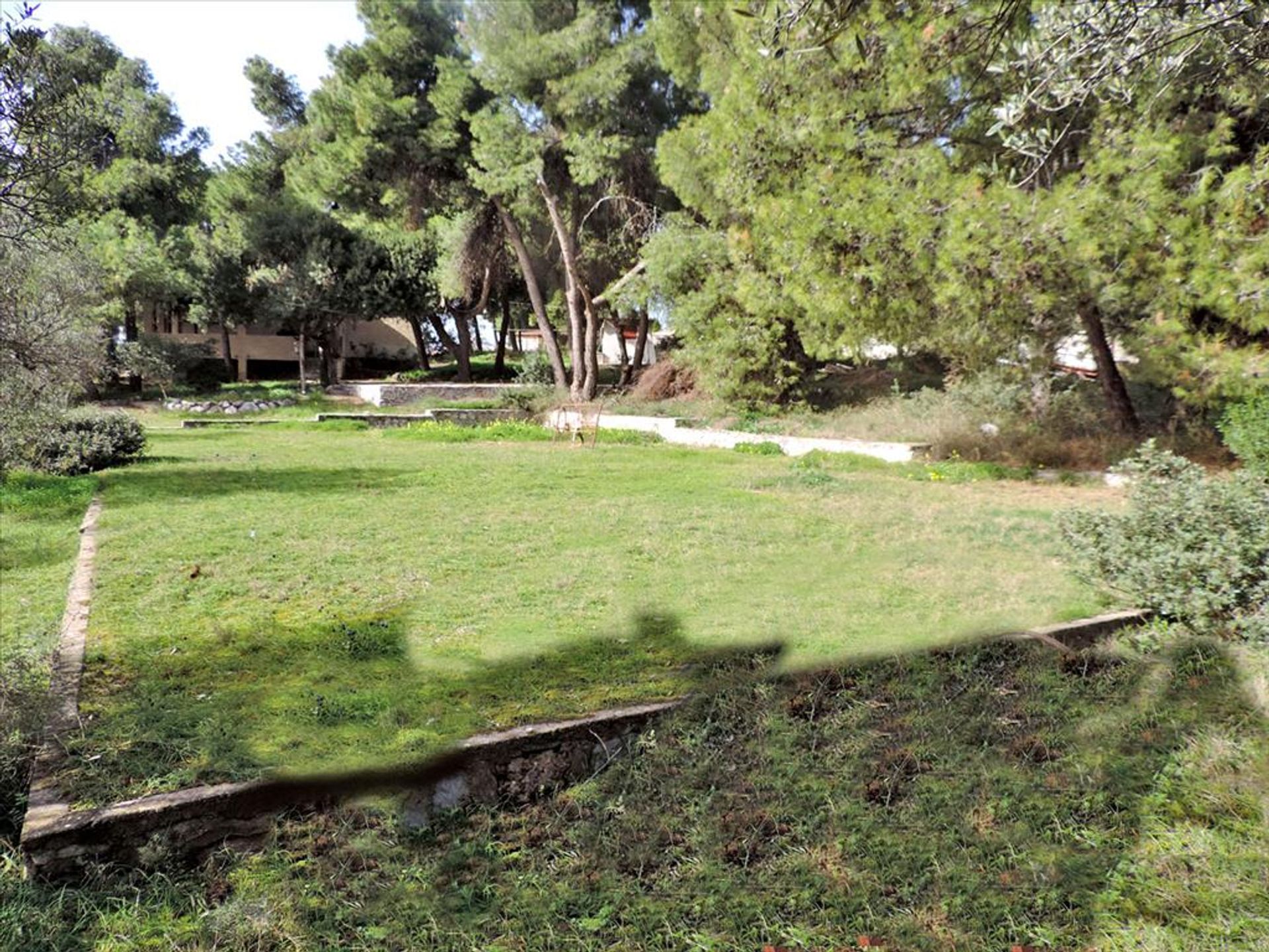 Land i Eretria,  11493386