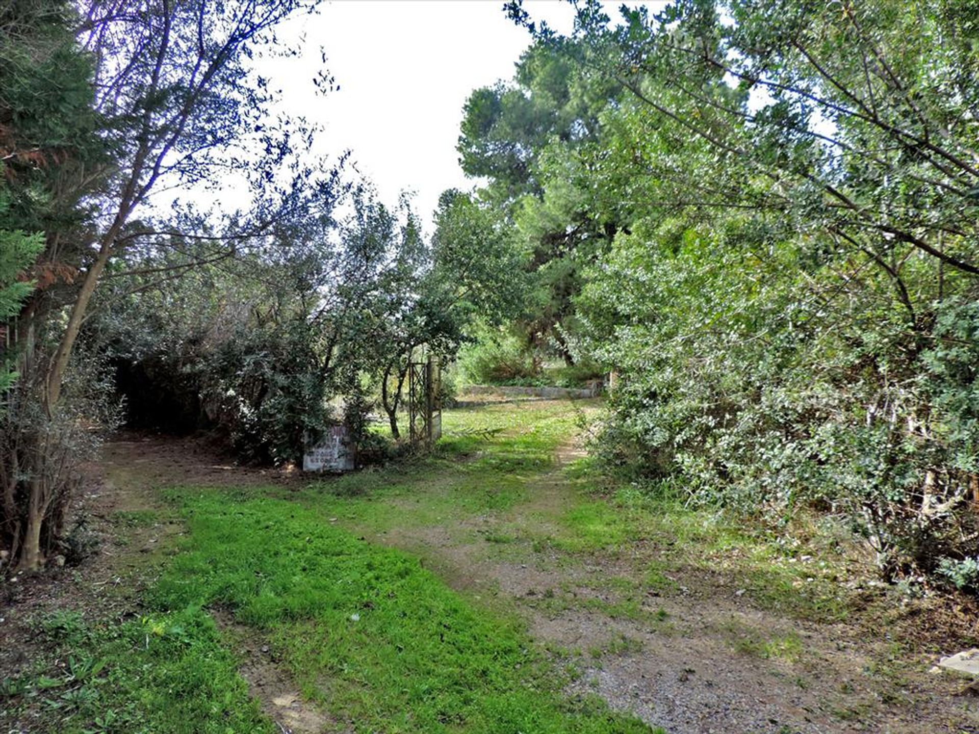 Land i Eretria,  11493386