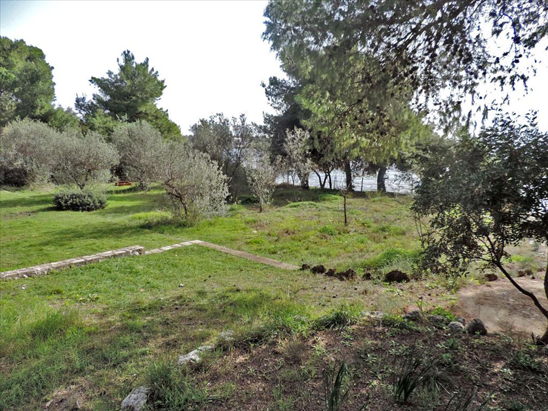 Land i Eretria,  11493386