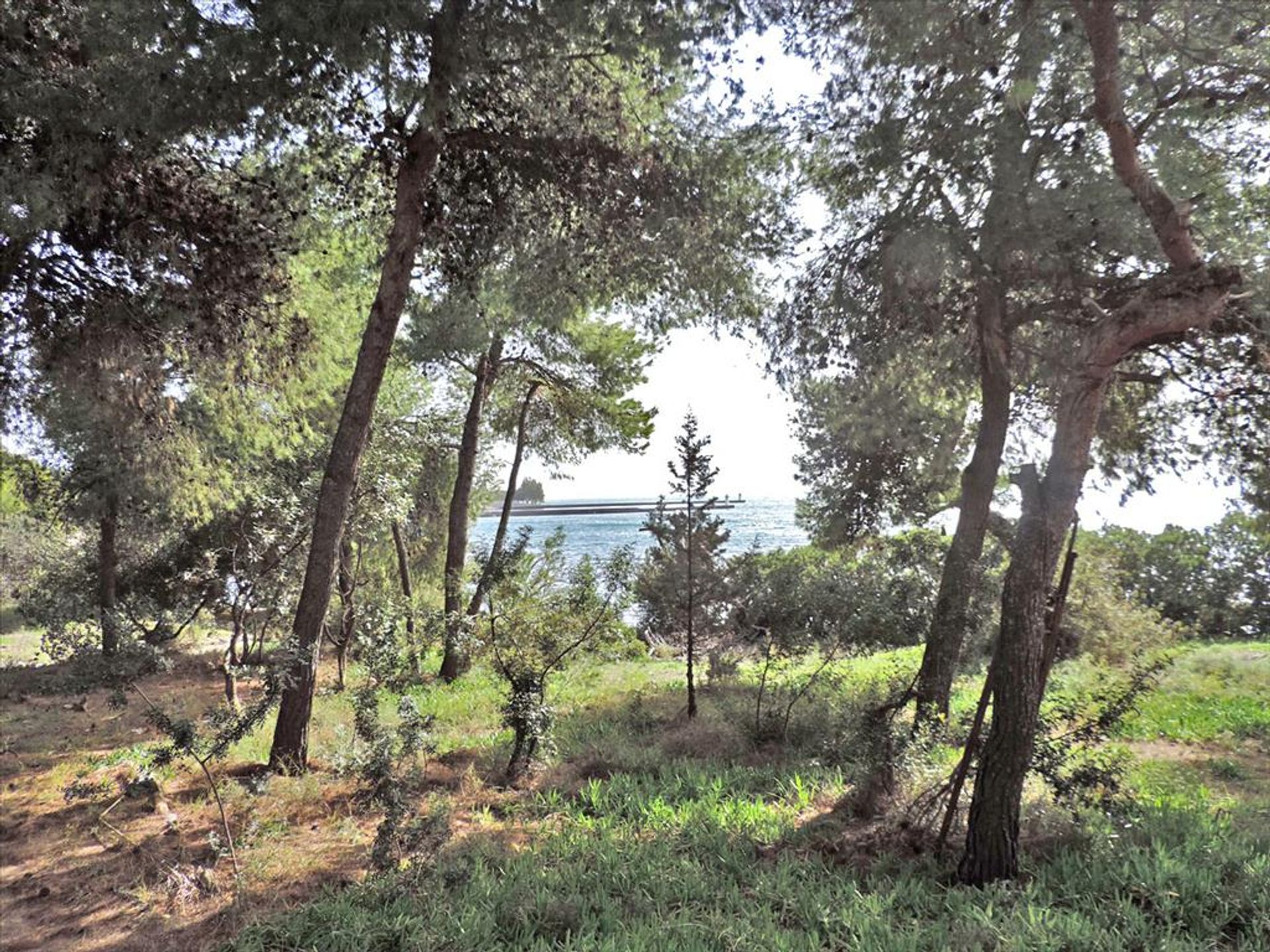 Tanah di Eretria, Sterea Ellada 11493386