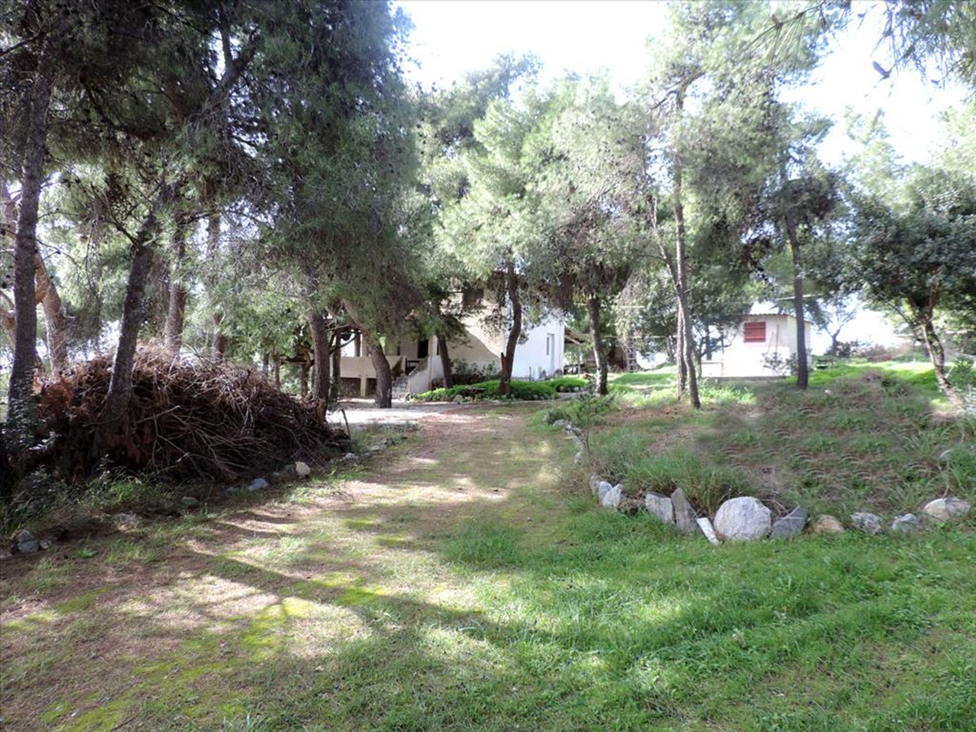 Land im Eretria, Sterea Ellada 11493386