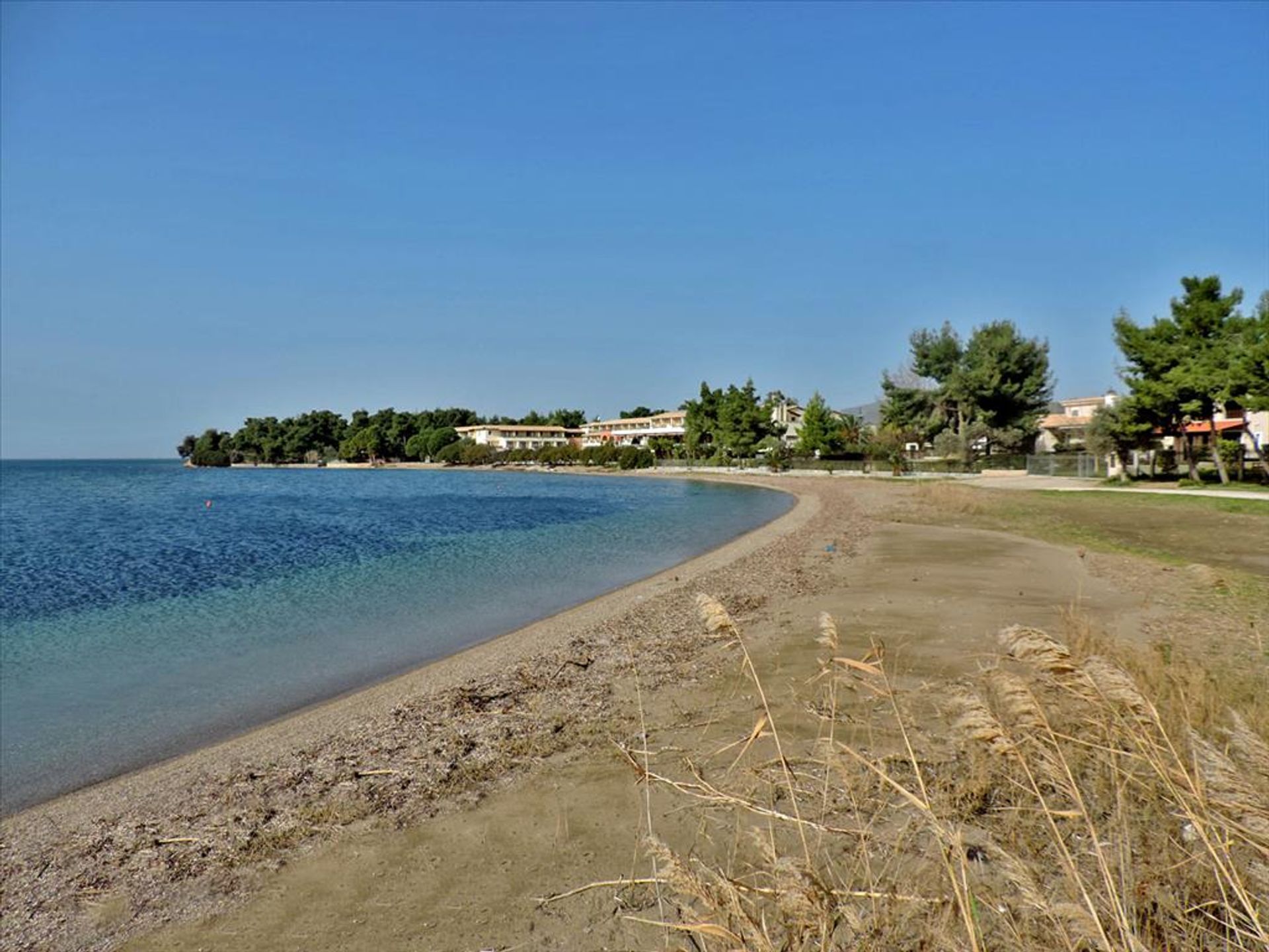 Land i Eretria,  11493386