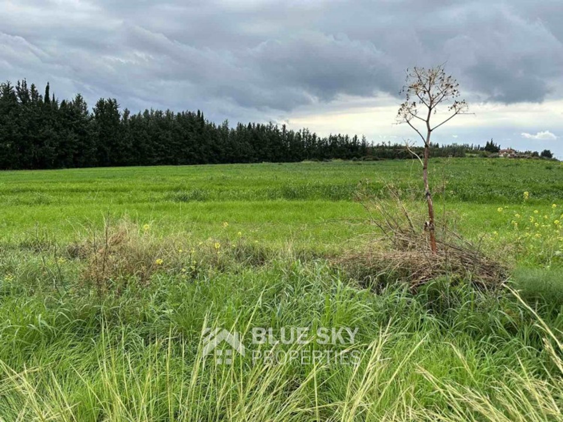 Land in Agia Marinouda, Pafos 11493693