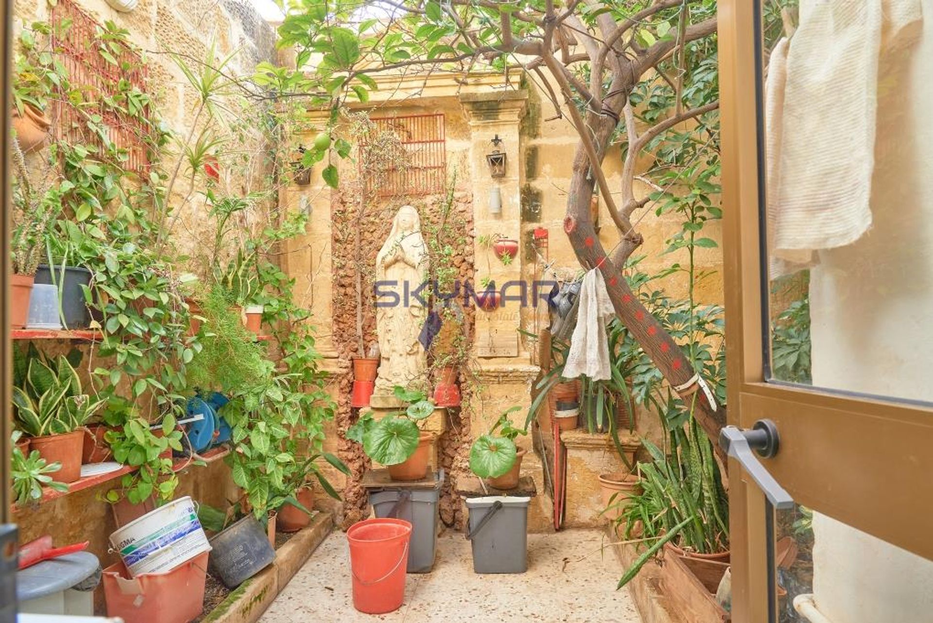 Dom w Il-Marsa,  11493977