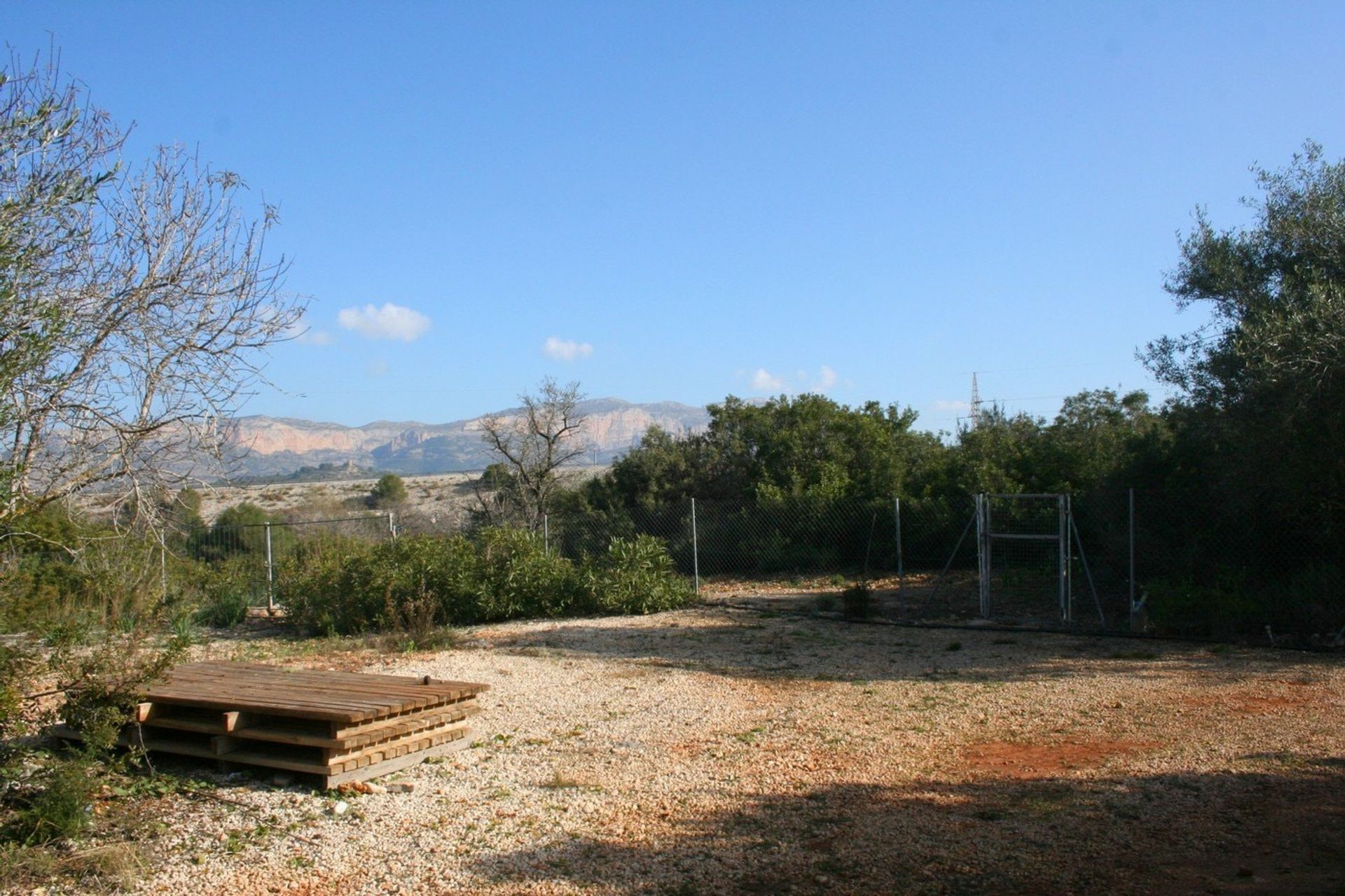 Land in Pedreguer, Comunidad Valenciana 11494694