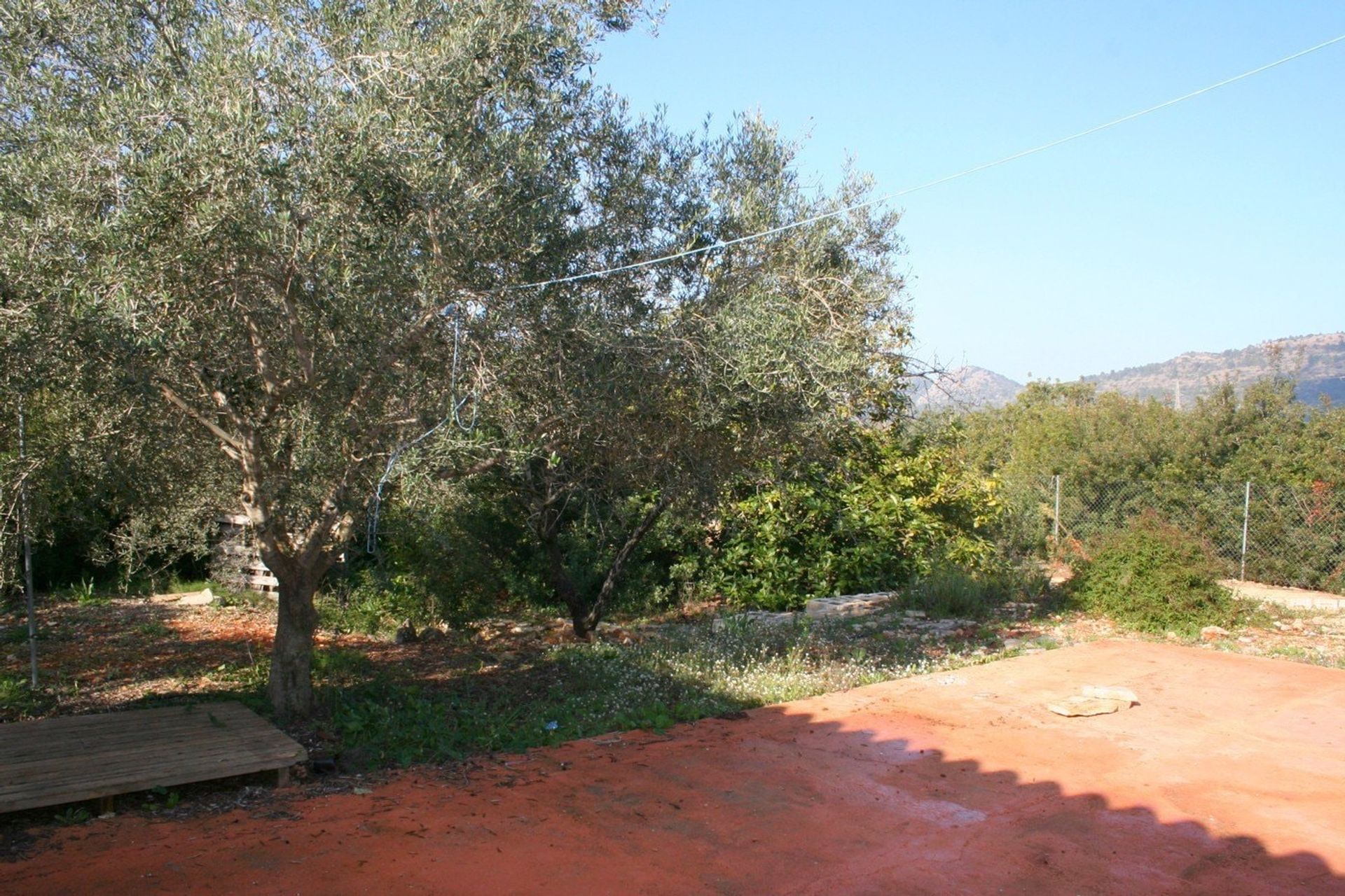 Land in Pedreguer, Comunidad Valenciana 11494694