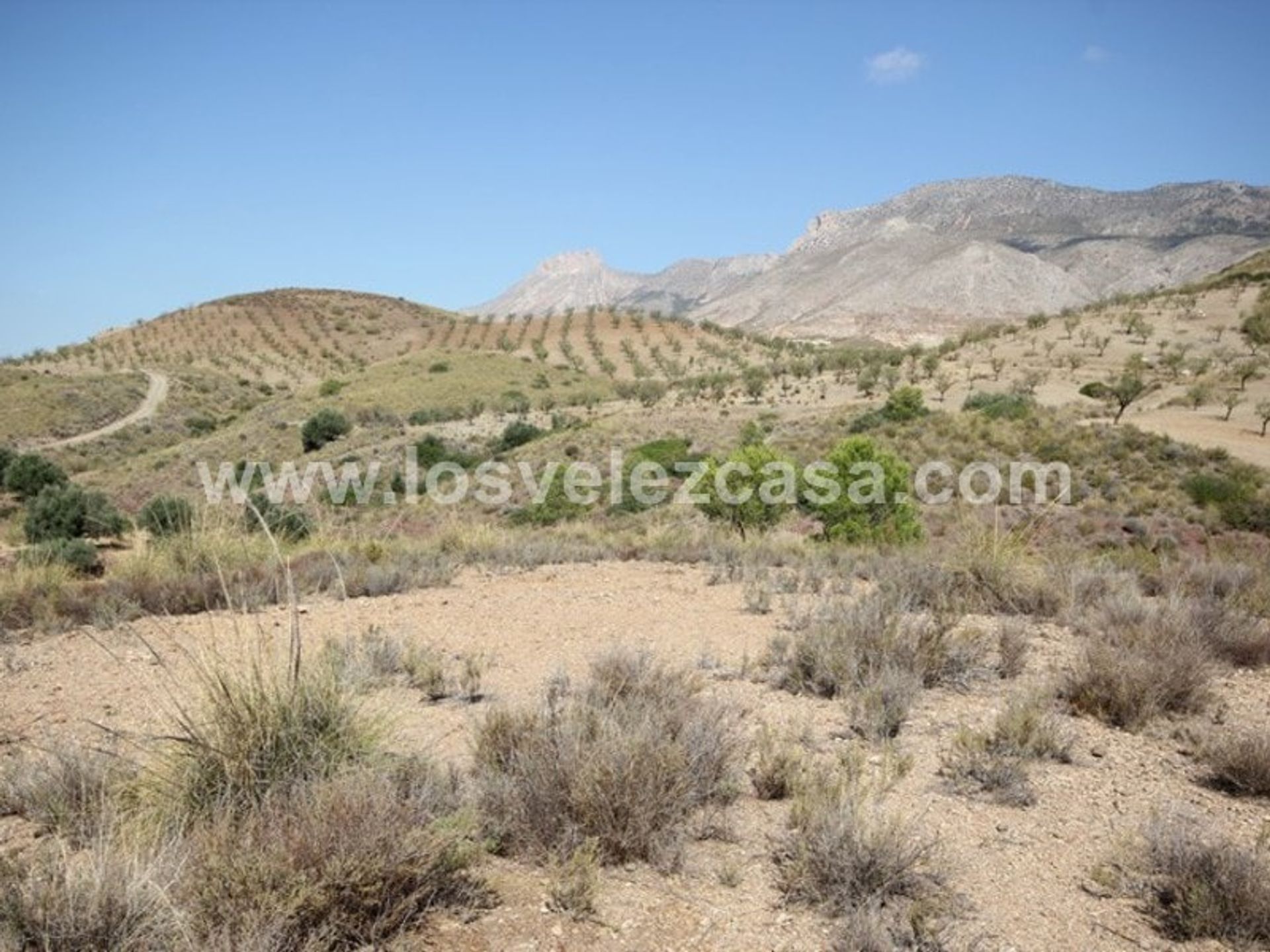 Γη σε Lorca, Región de Murcia 11494833