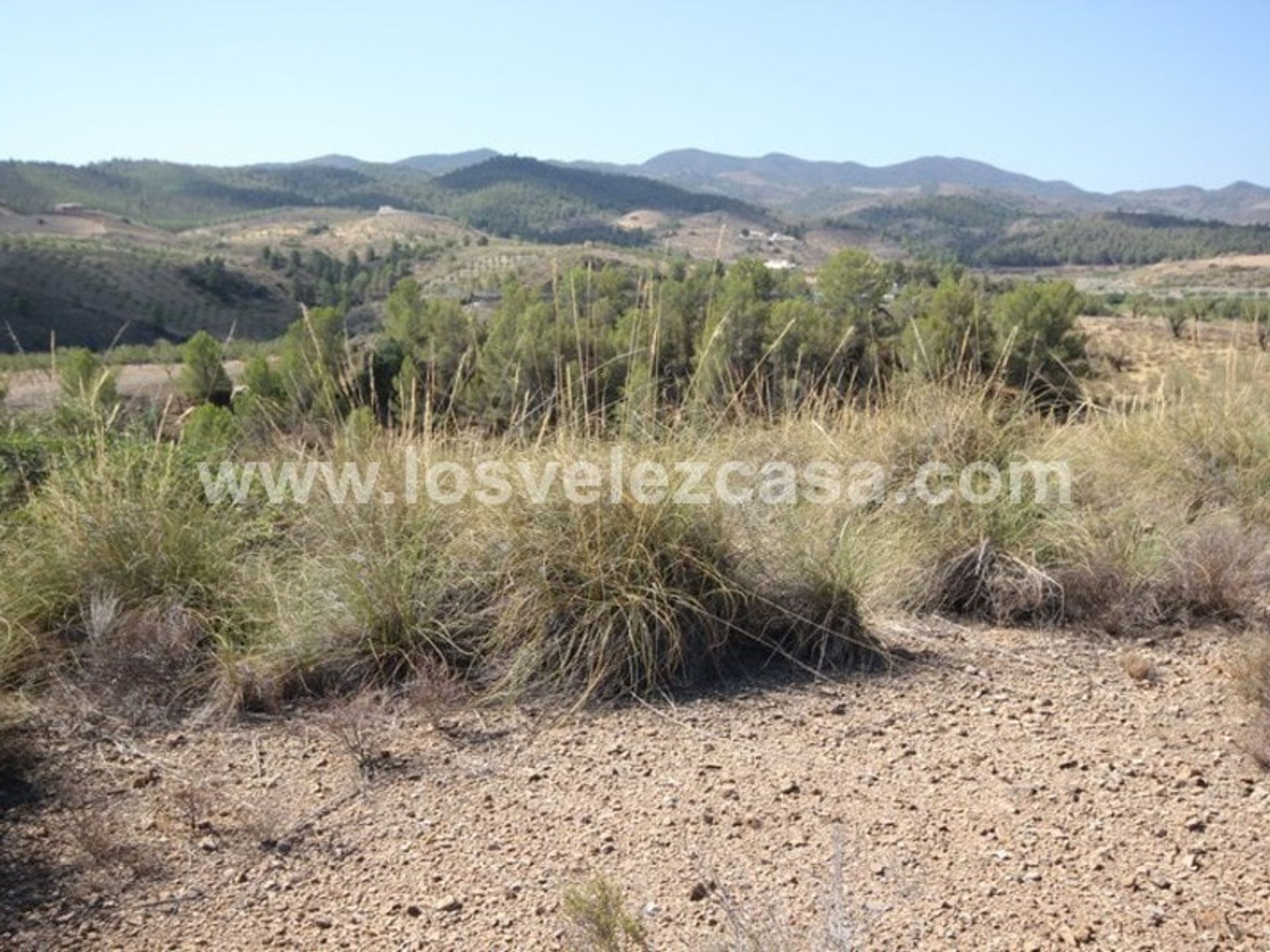 Γη σε Lorca, Región de Murcia 11494833