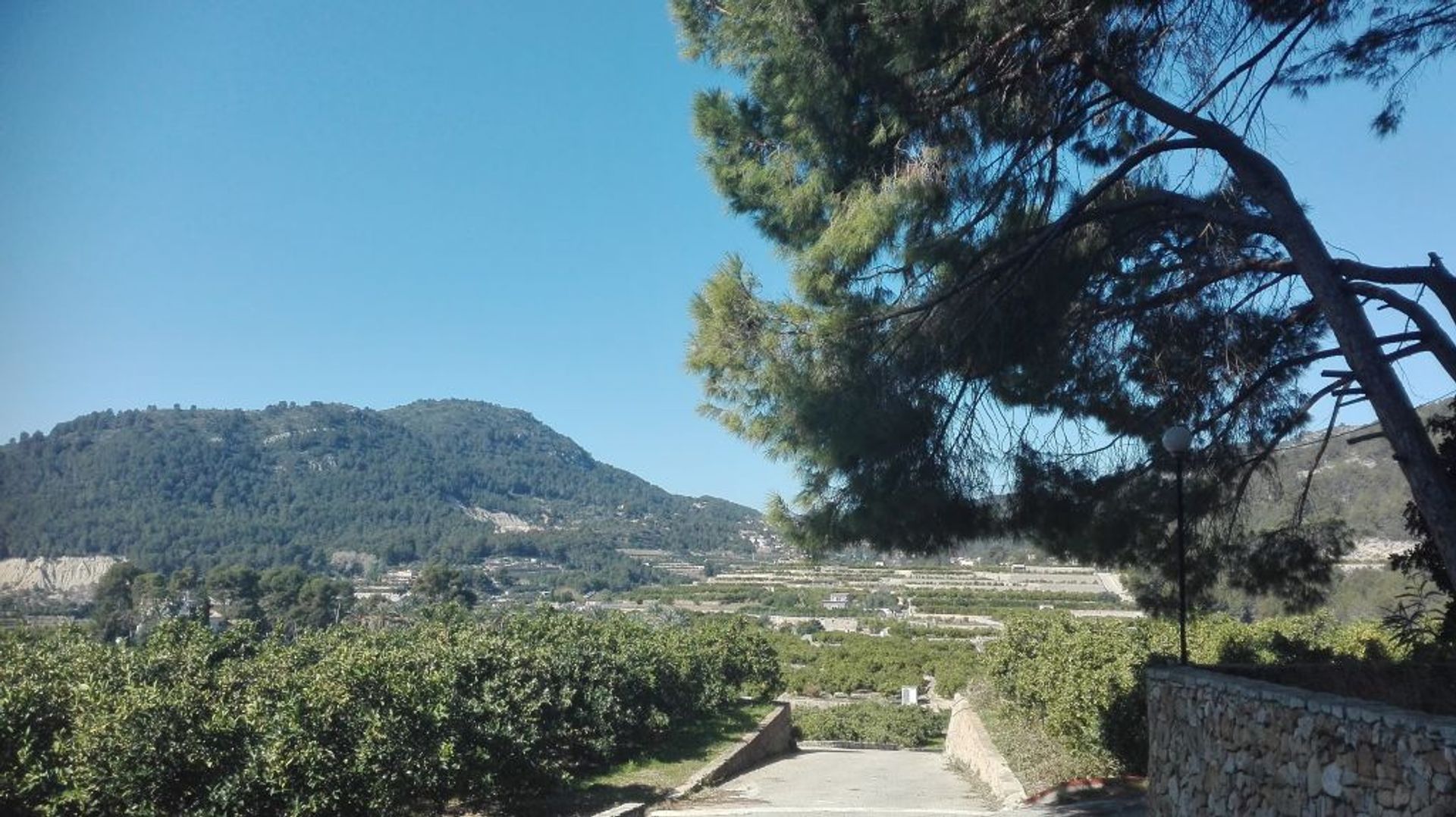 Industriel dans La Font d'en Carròs, Comunidad Valenciana 11494842