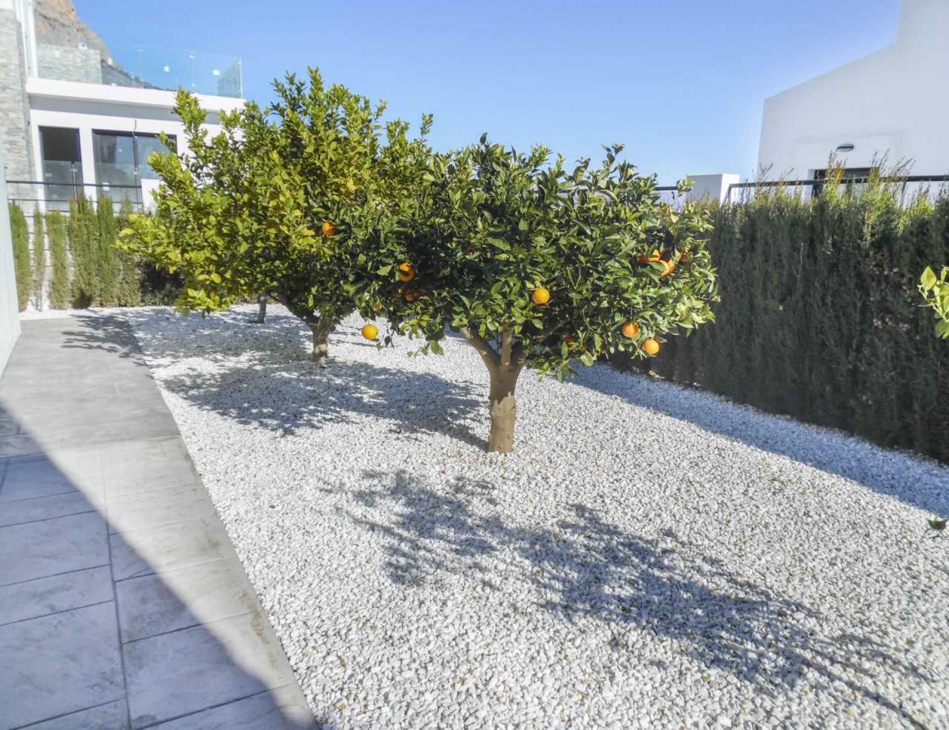 House in Benimantell, Comunidad Valenciana 11494896