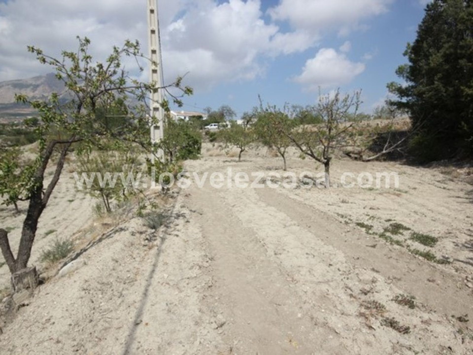 Land in Vélez-Rubio, Andalucía 11495149