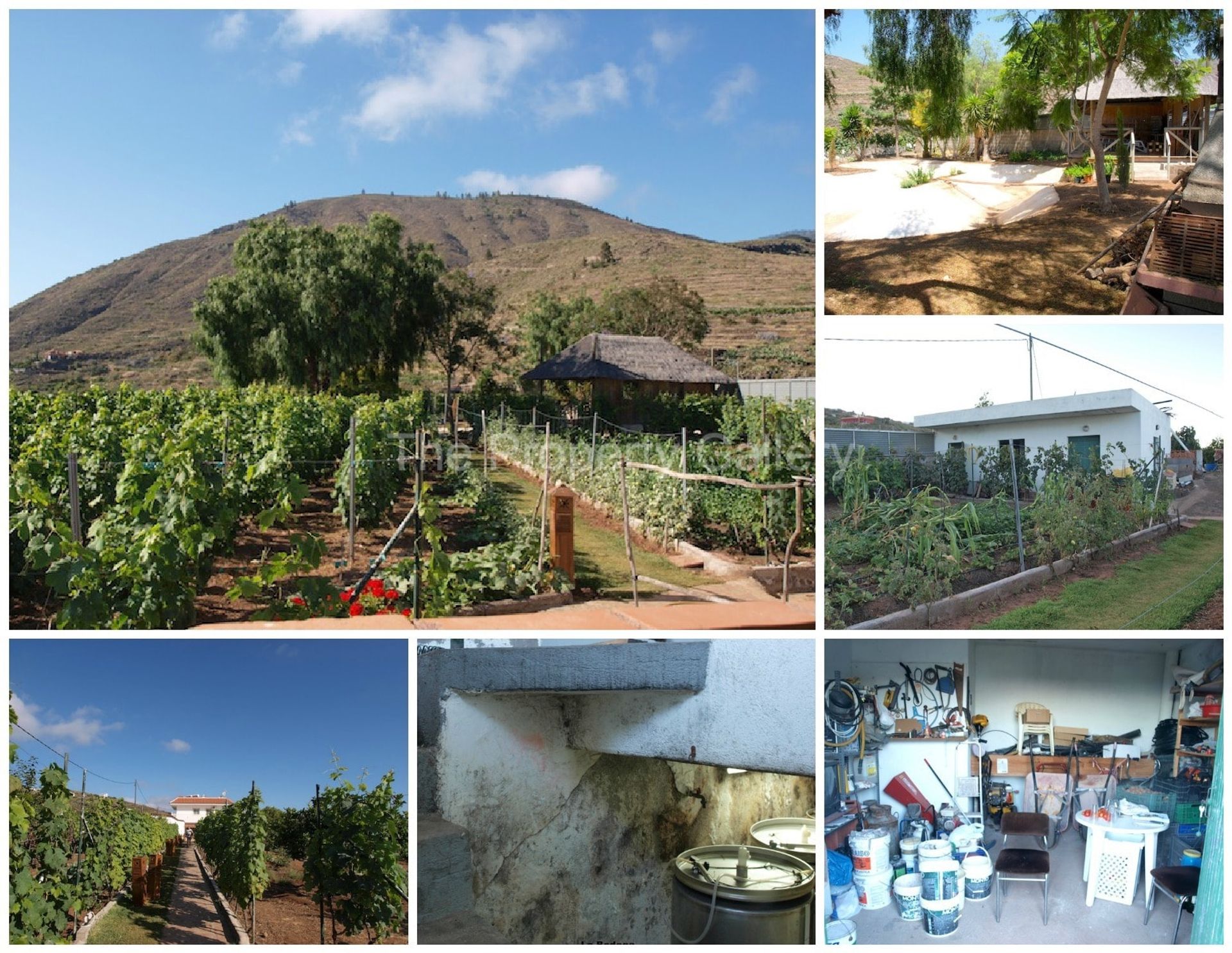 Будинок в Guía de Isora, Canarias 11495565