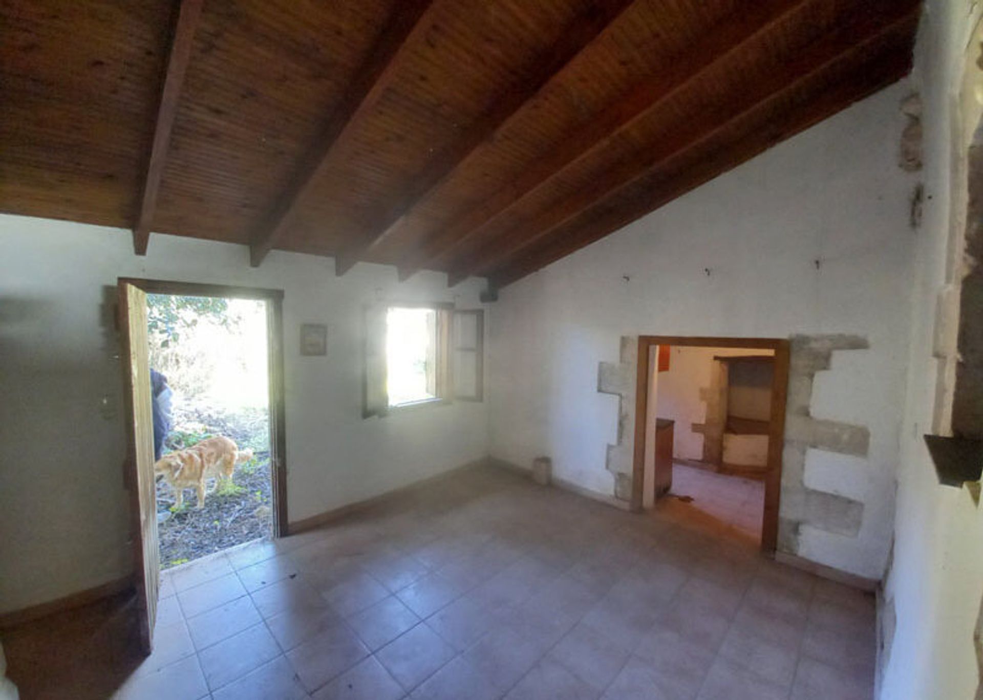 casa no Lakkoi, Criti 11495599