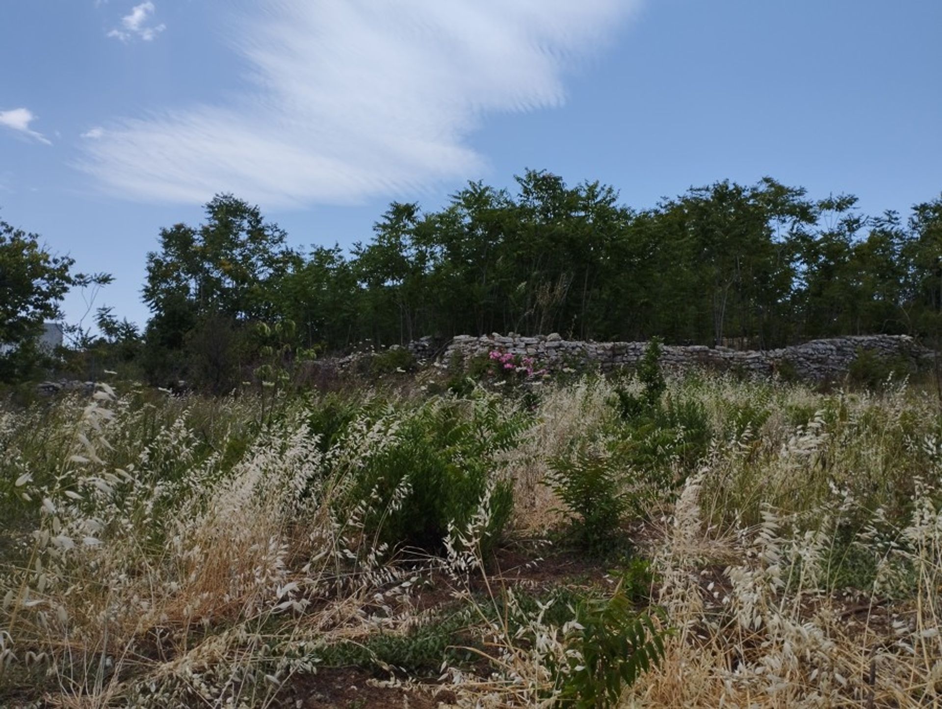 土地 在 Episkopi,  11495640