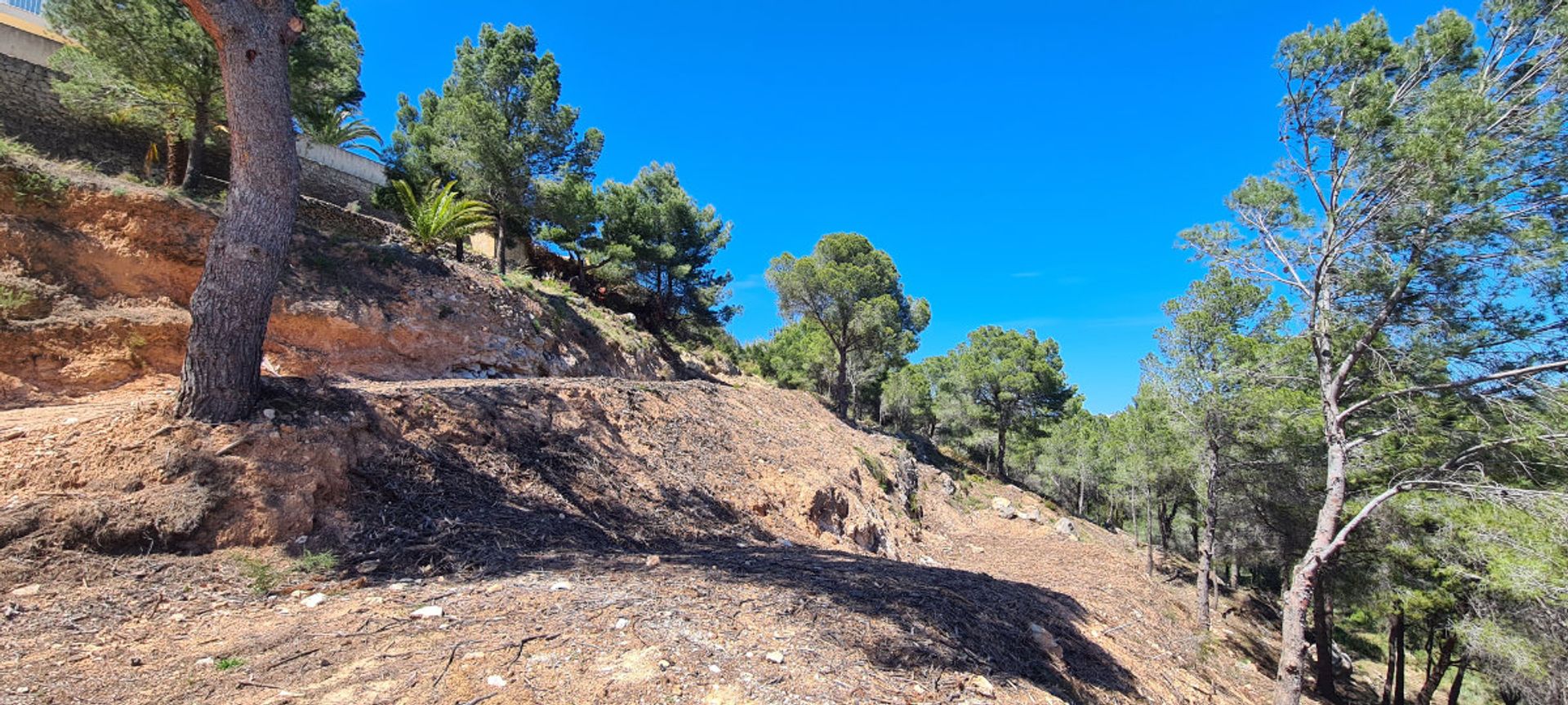 Terra no Calpe, Comunidad Valenciana 11496194