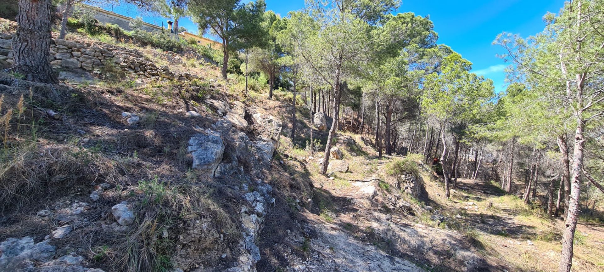 Terra no Calpe, Comunidad Valenciana 11496194