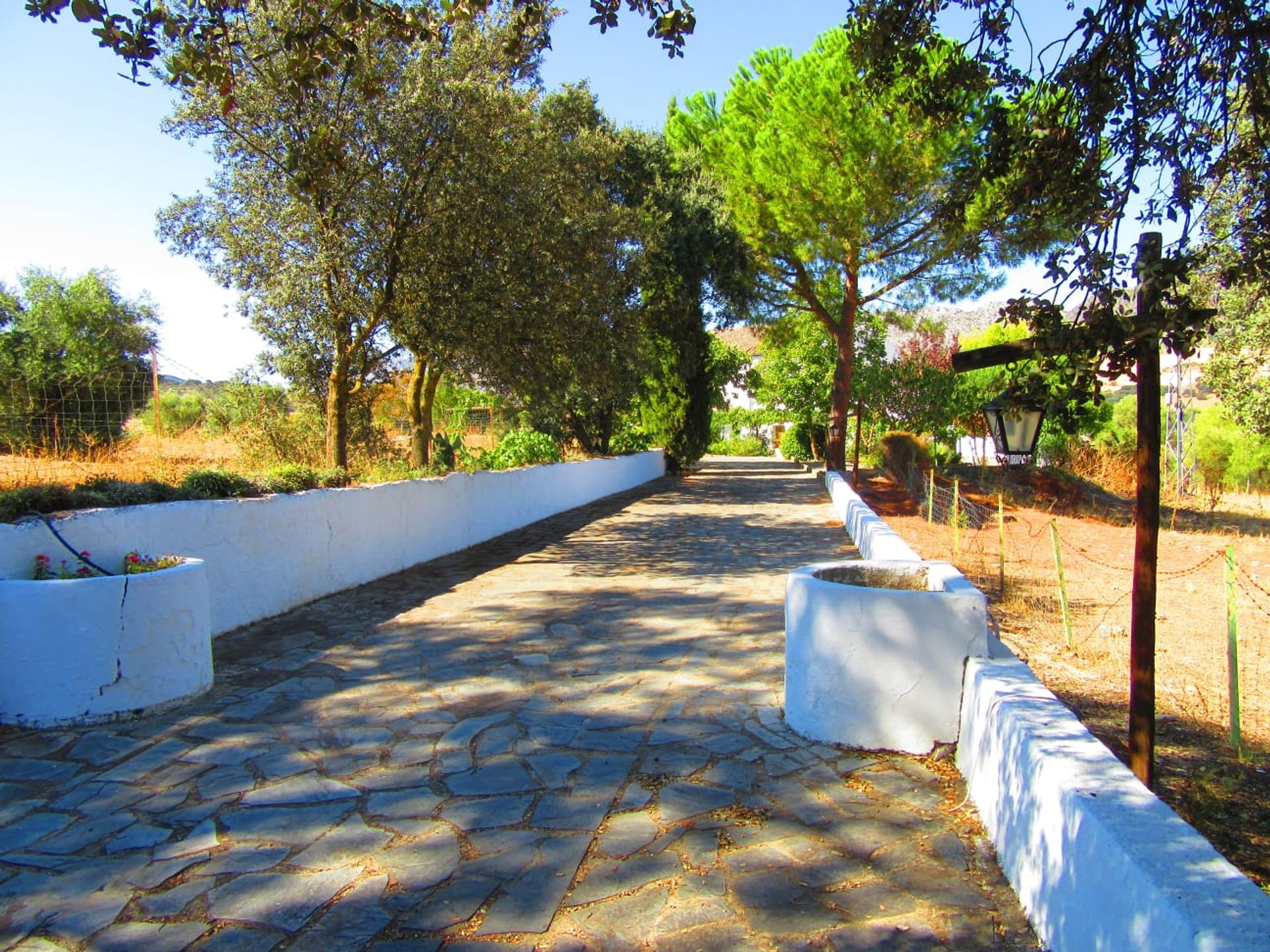 House in Ronda, Andalucía 11496688