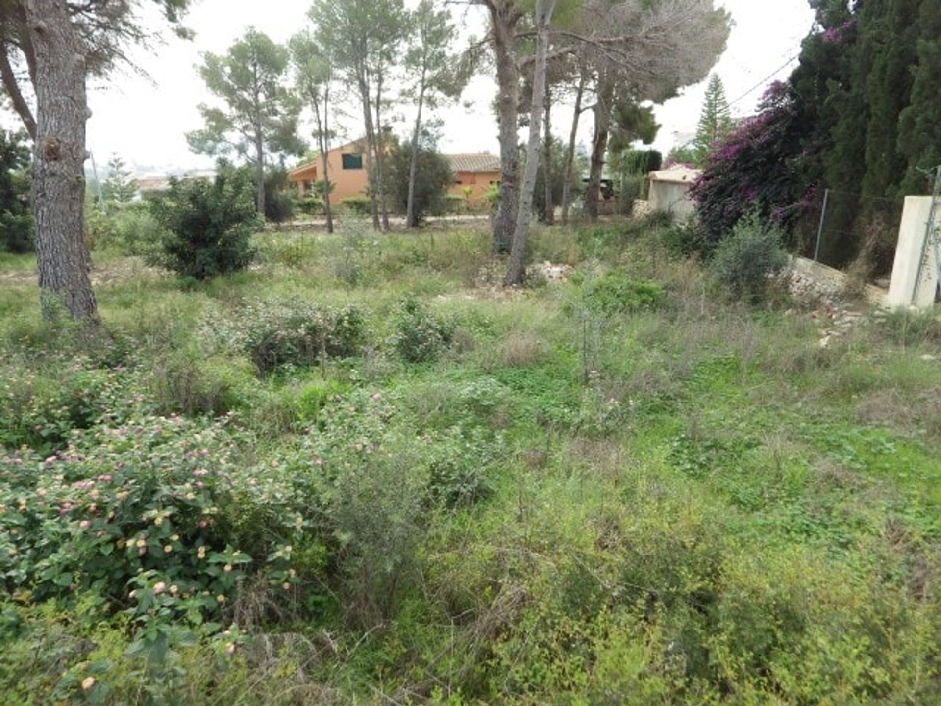 Terre dans Jávea, Valence 11497269