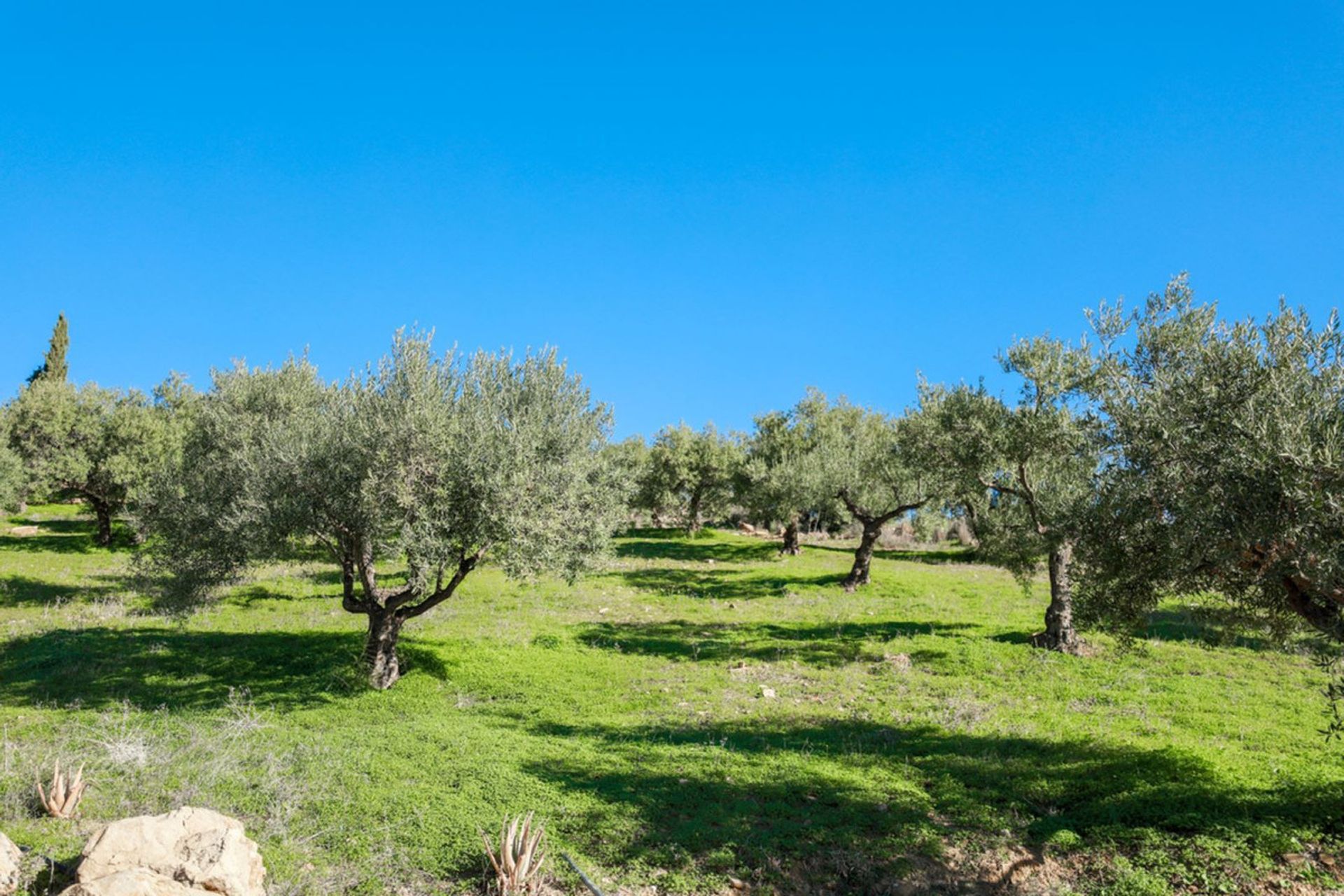 Hus i Álora, Andalucía 11497724