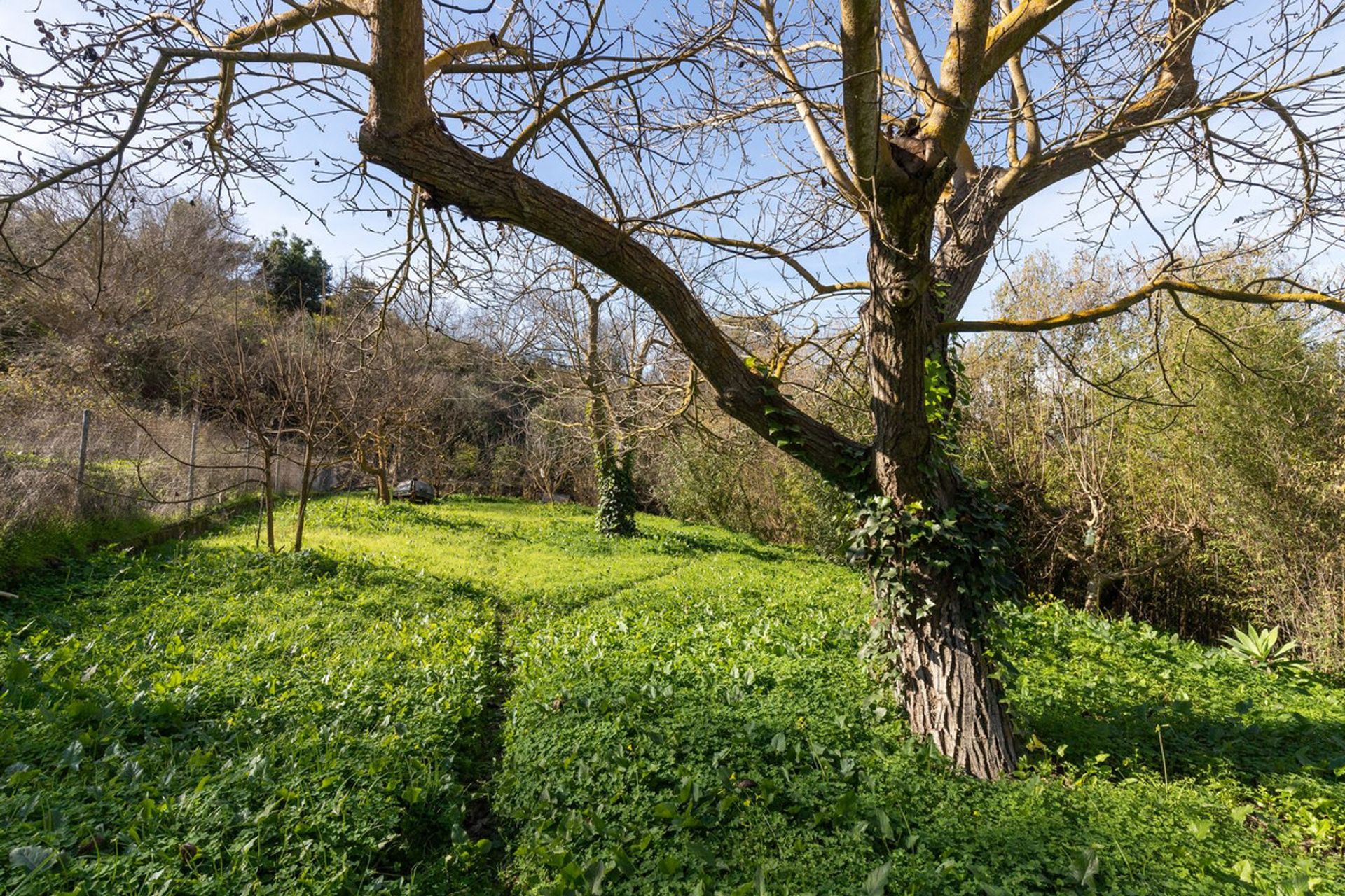 집 에 Coín, Andalucía 11497733