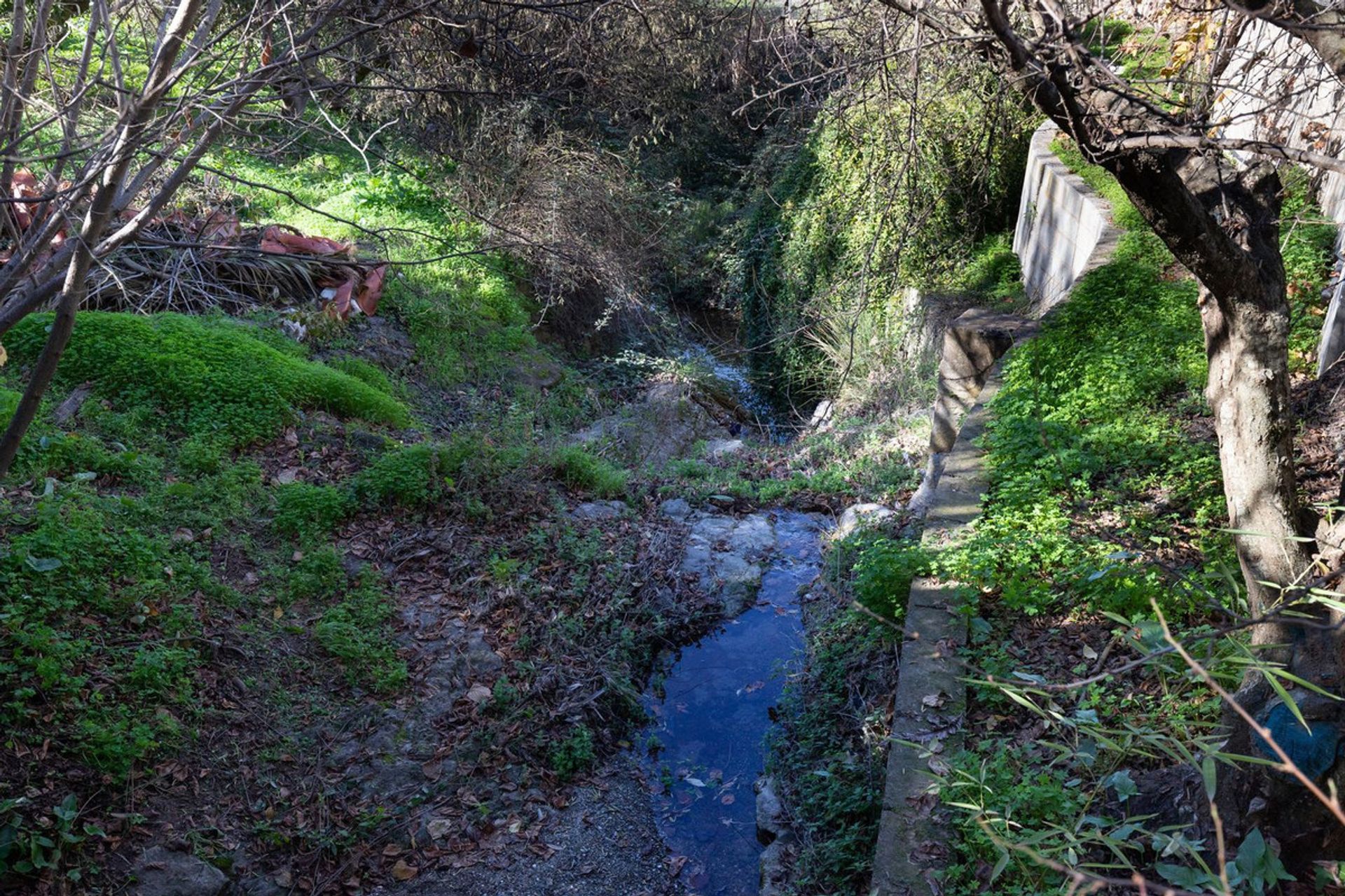 집 에 Coín, Andalucía 11497733