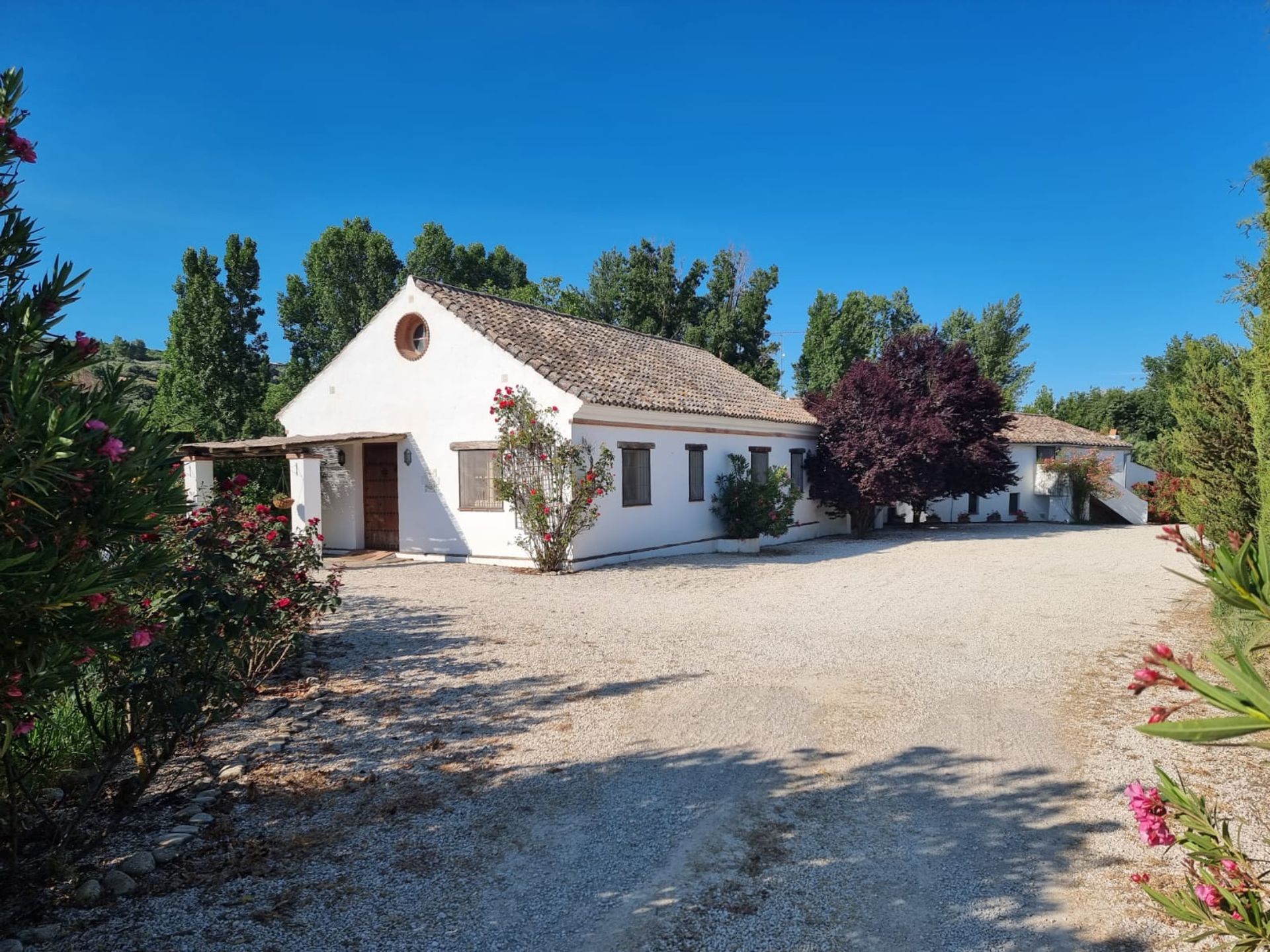 loger dans Ronda, Andalousie 11498139