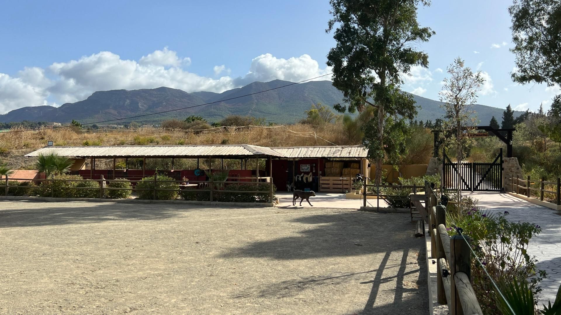 casa en Alhaurín el Grande, Andalucía 11498178