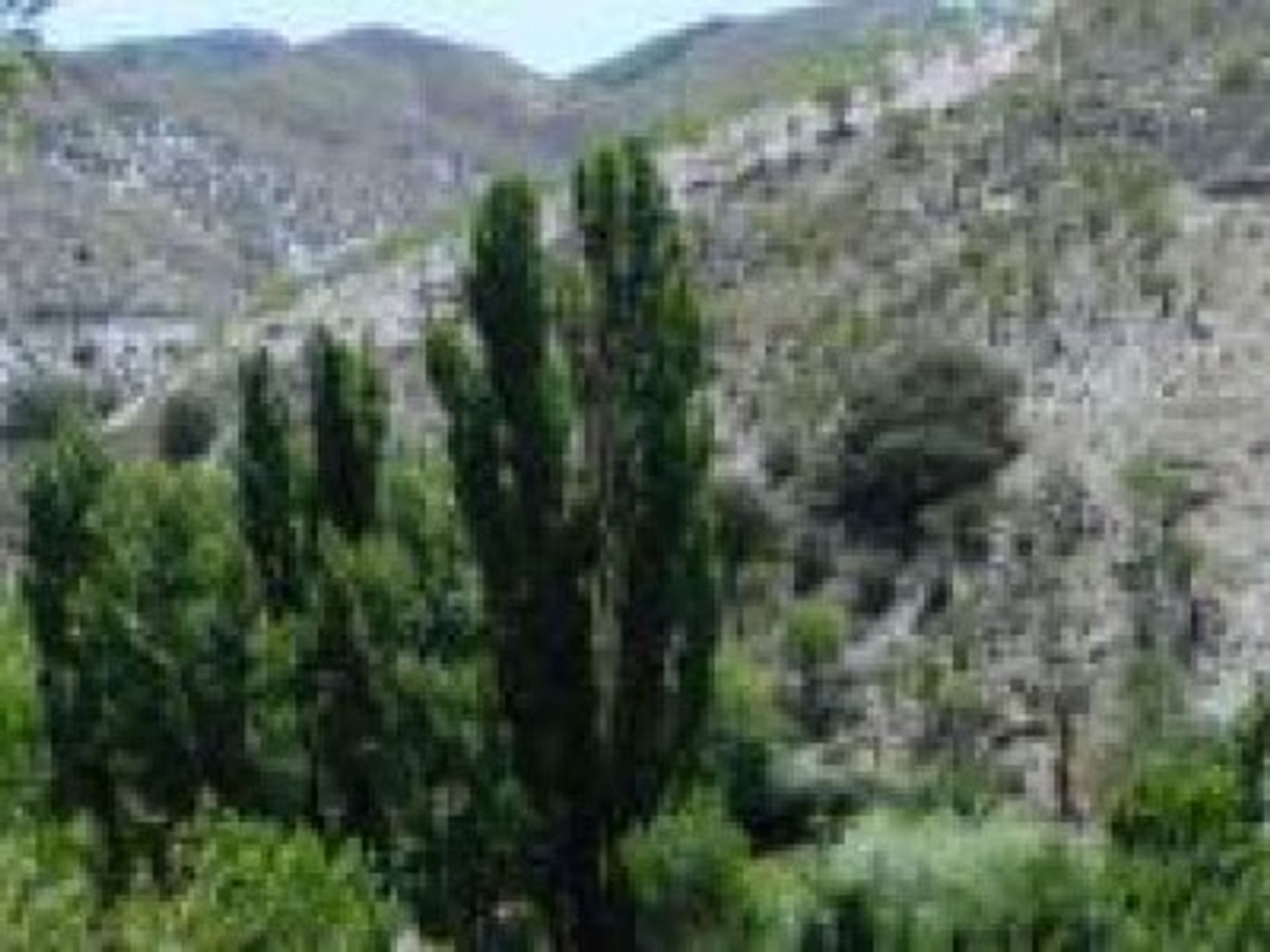 Dom w Alcontar, Andalucía 11498552