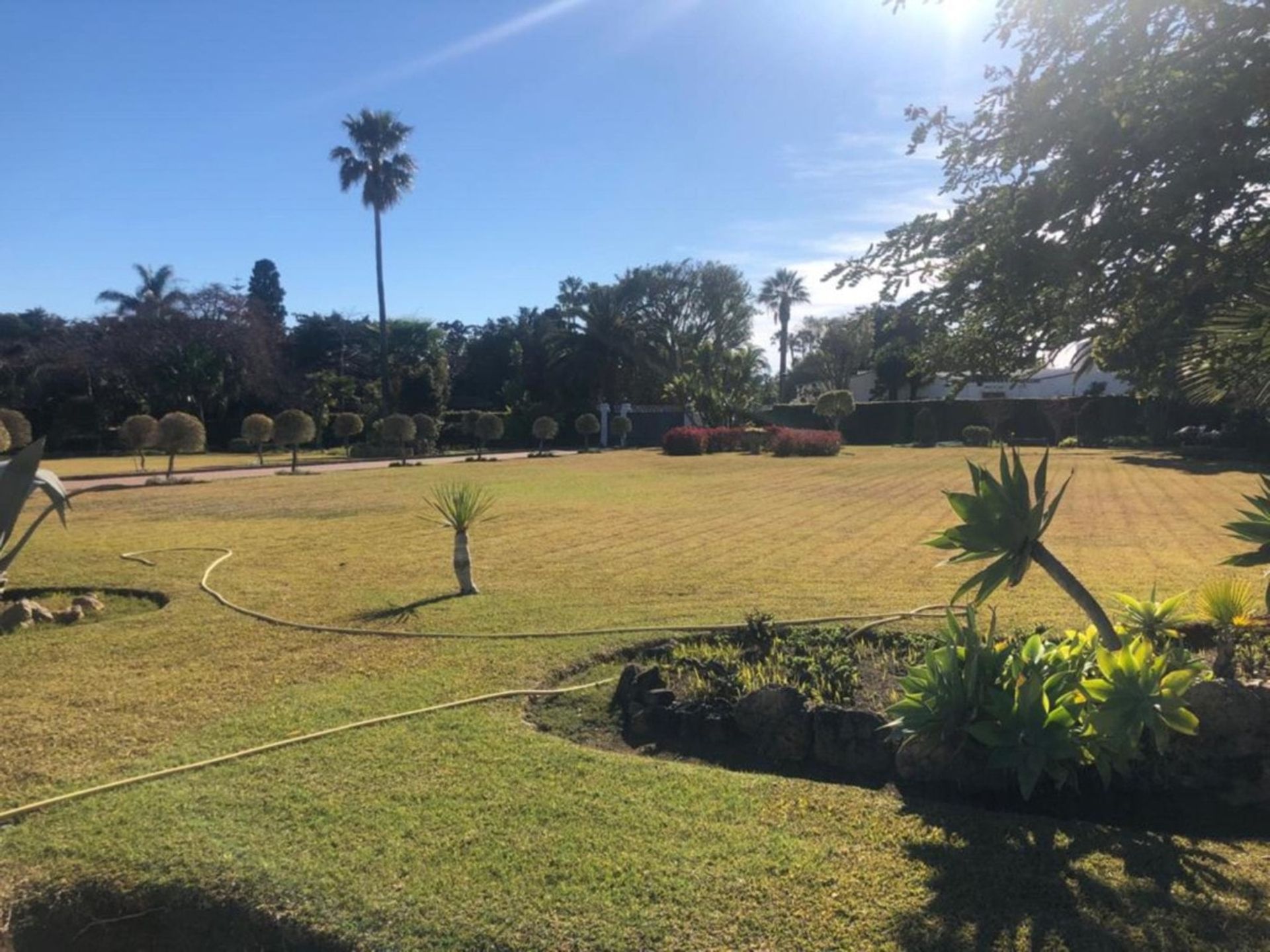 Land im San Pedro de Alcántara, Andalusien 11498601