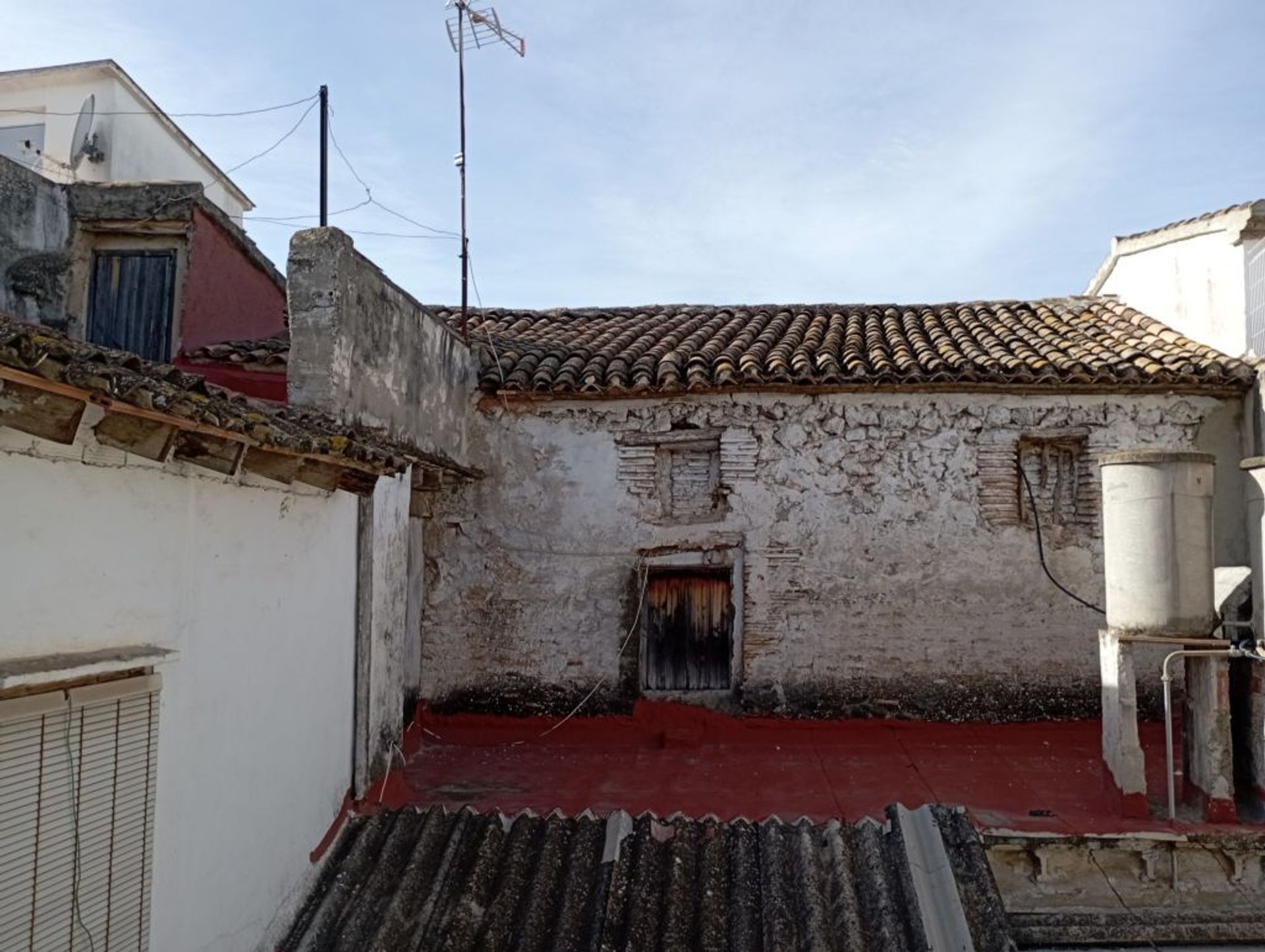 Hus i Oliva, Valencian Community 11498882