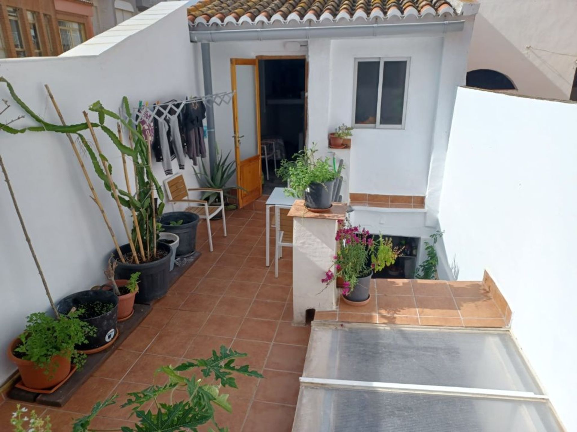 Hus i Oliva, Valencian Community 11498895