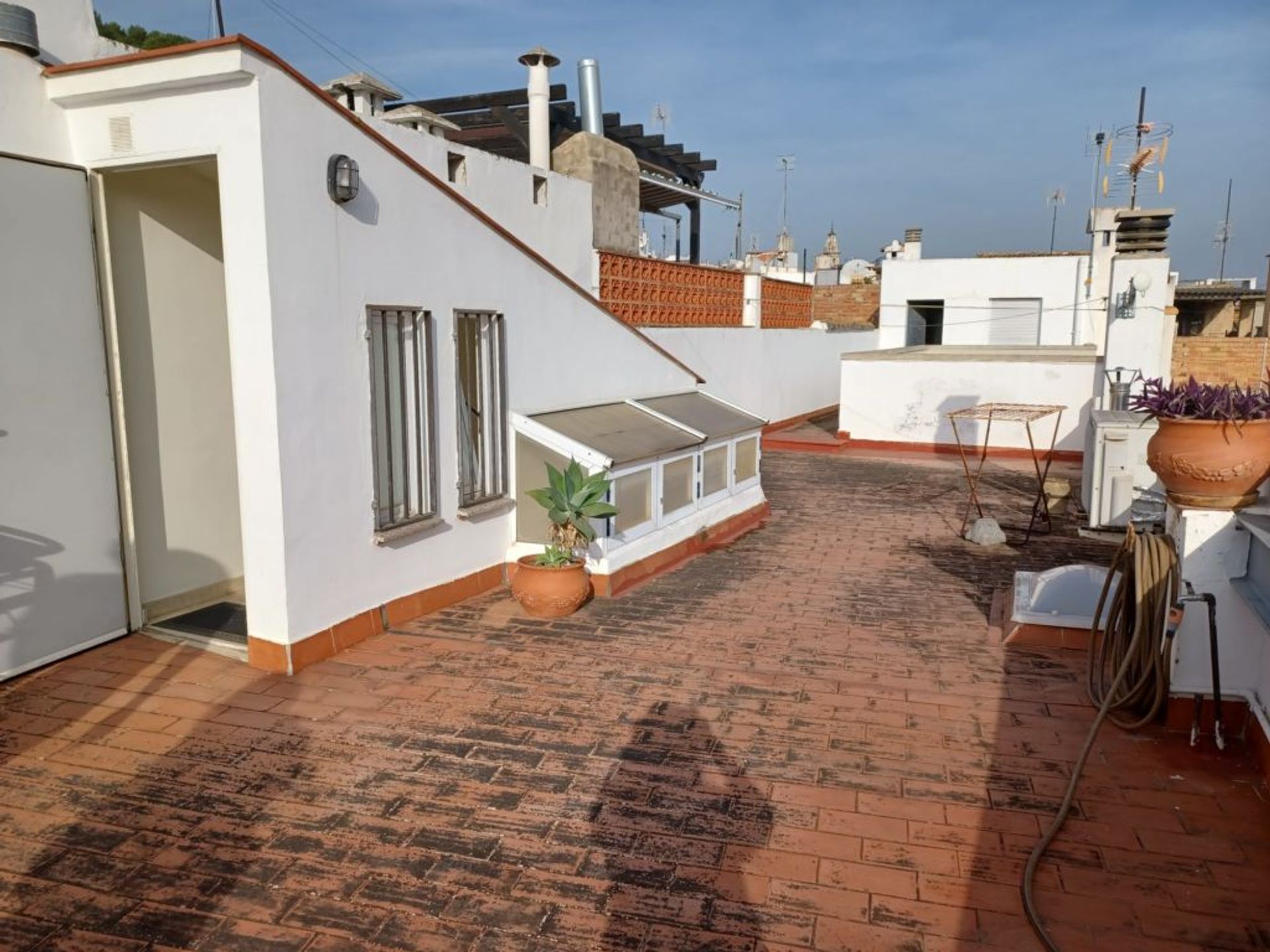 Hus i Oliva, Valencian Community 11498901