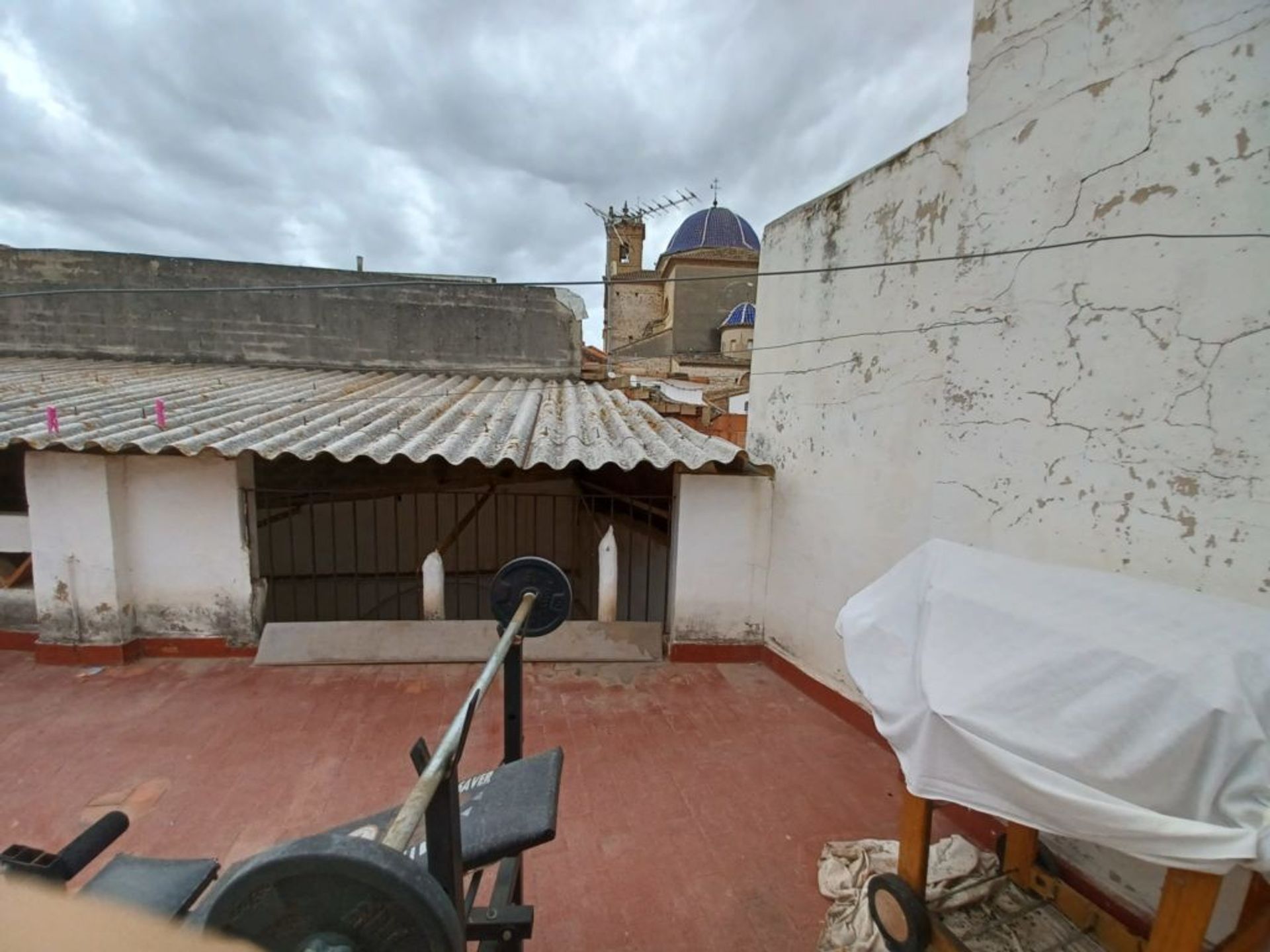 Hus i Oliva, Valencian Community 11498935