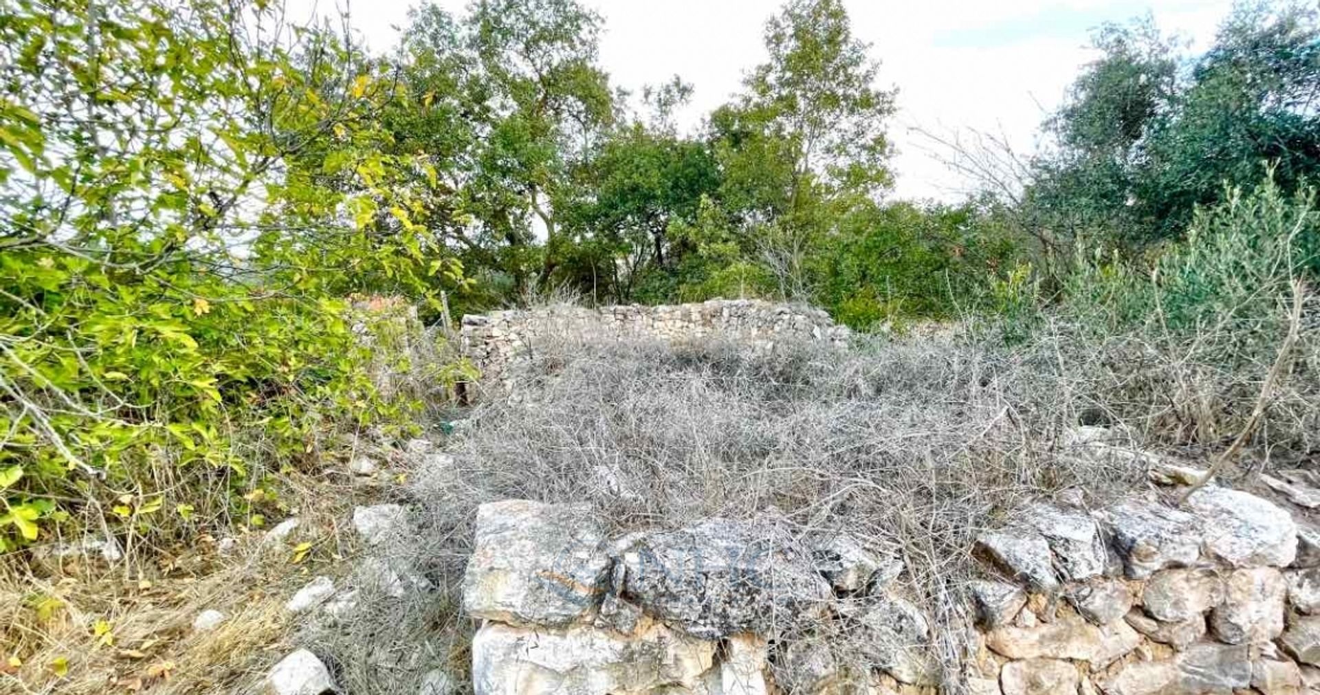 casa no Fyti, Paphos 11499319