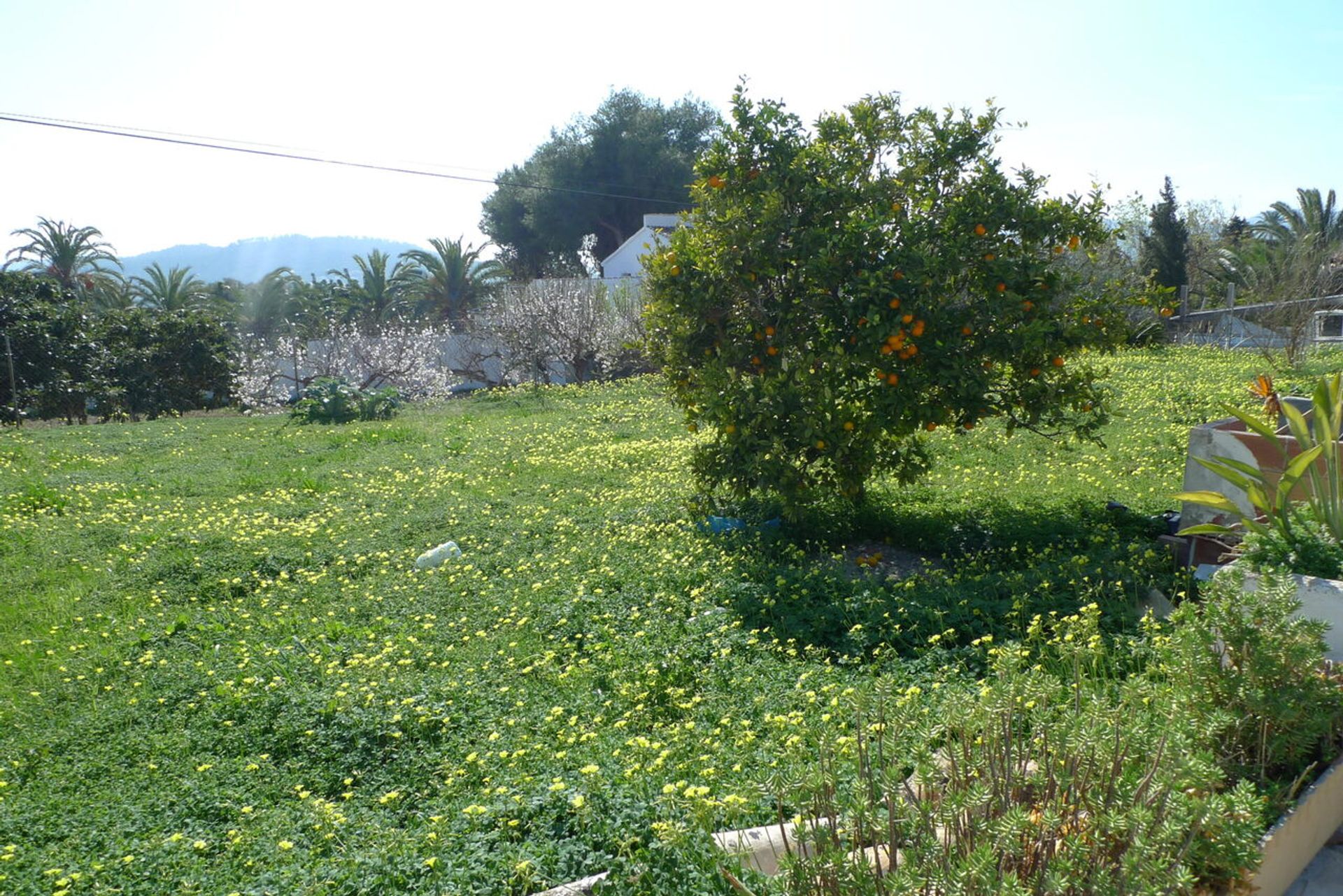 loger dans Jávea, Valence 11499652