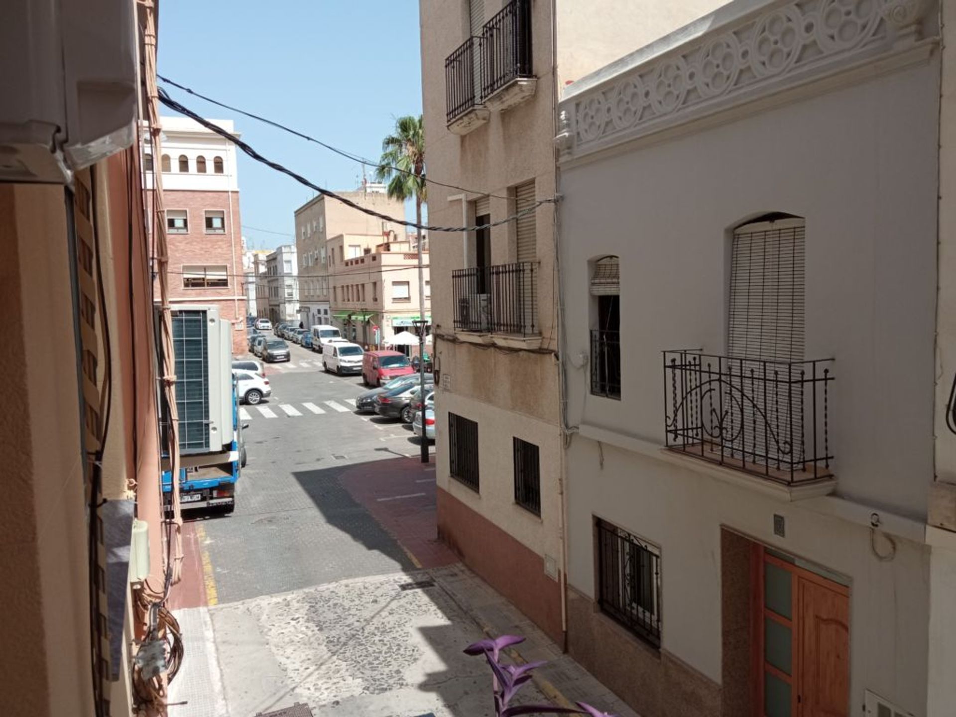 सम्मिलित में Oliva, Valencian Community 11499845