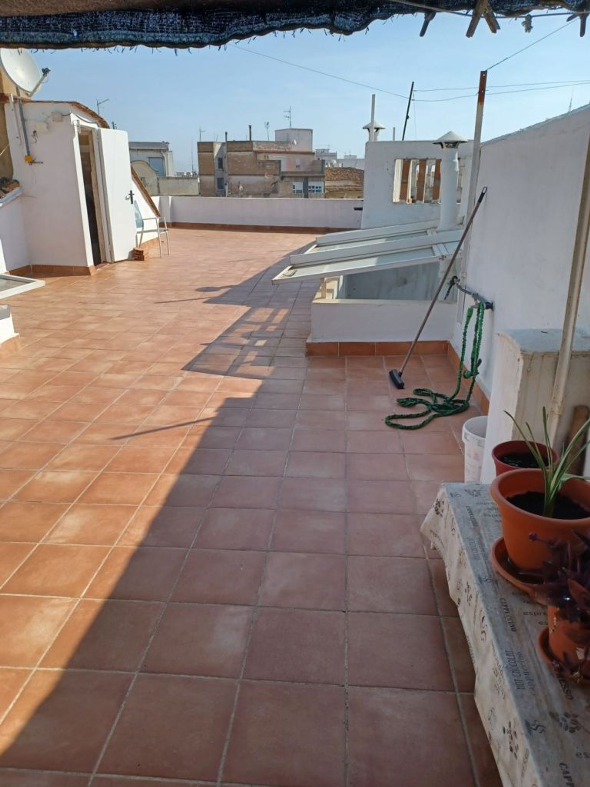 Hus i Oliva, Valencian Community 11499852