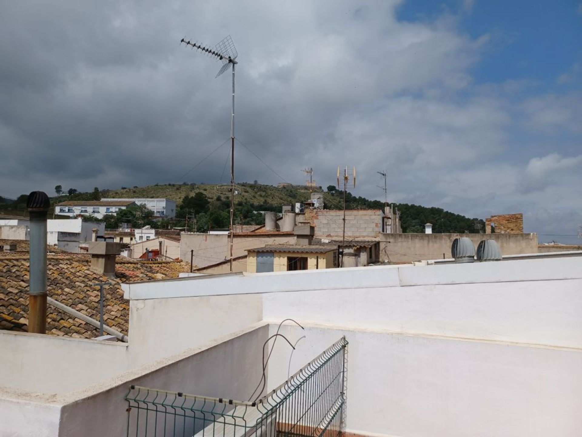 Hus i Oliva, Valencian Community 11499856