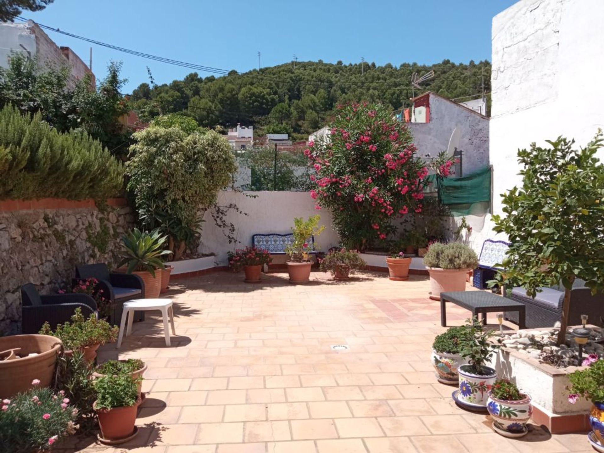 بيت في Oliva, Valencian Community 11499892