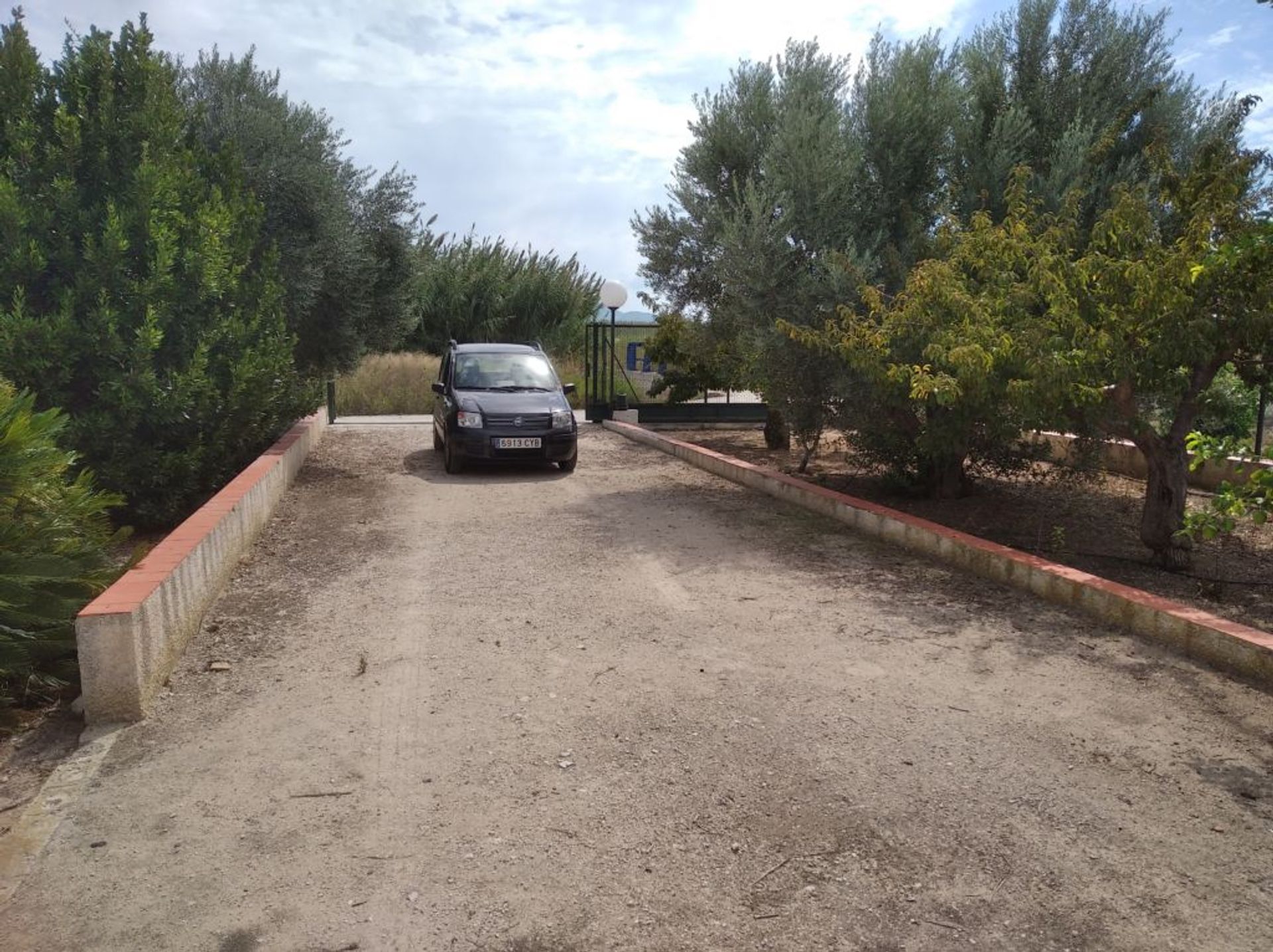 بيت في Oliva, Valencian Community 11499896