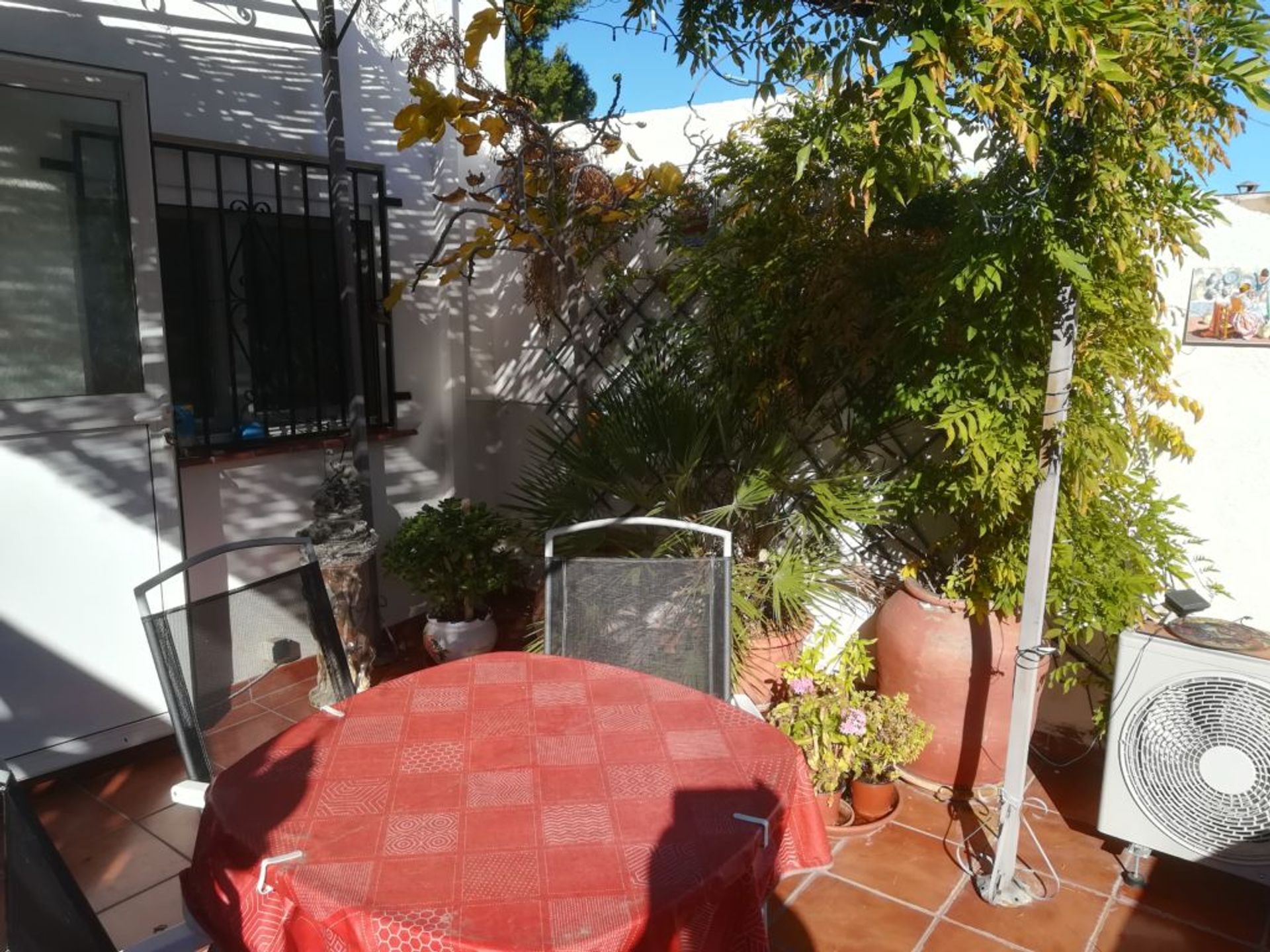 House in Oliva, Valencian Community 11499900