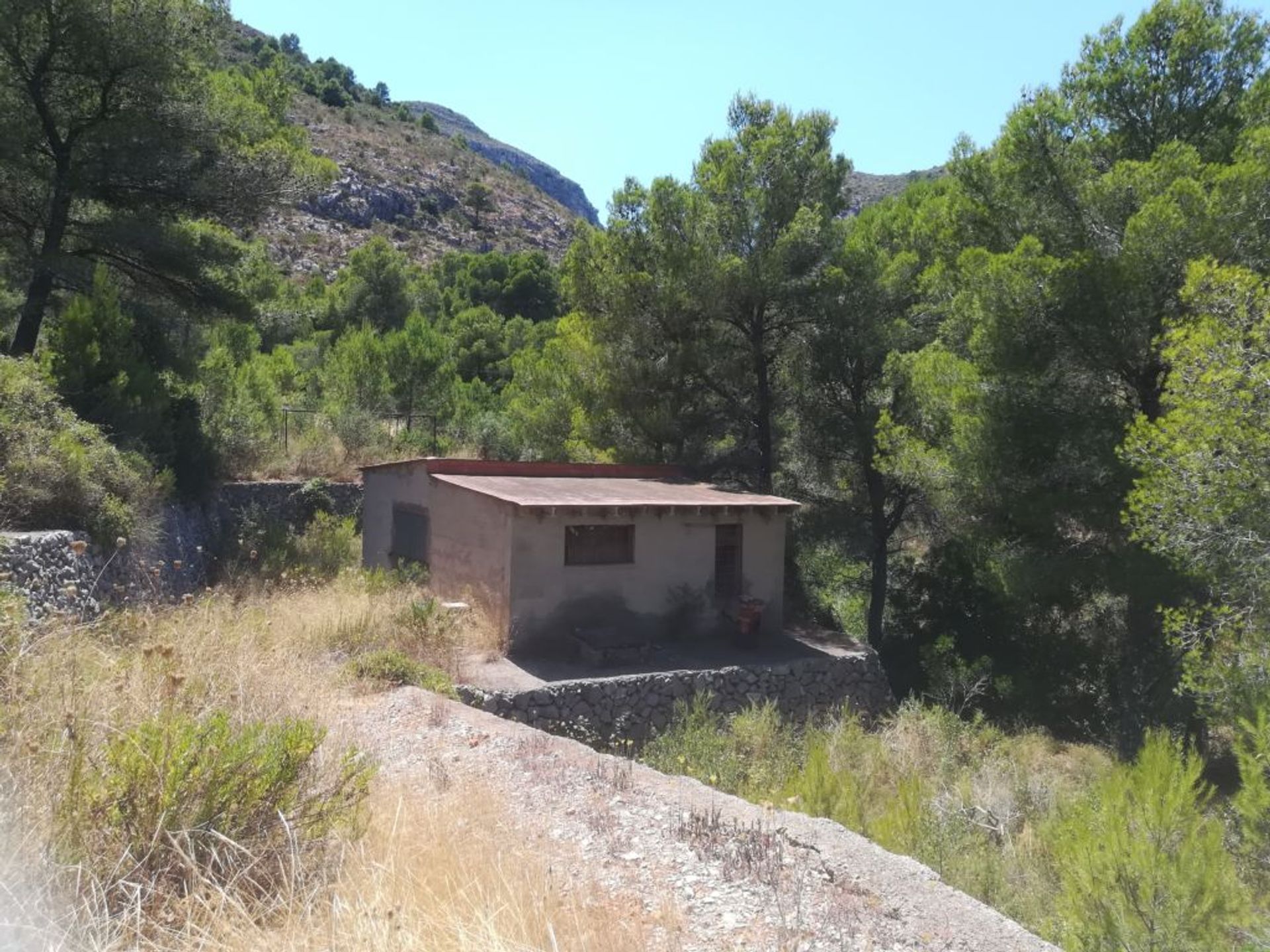 Land im Gandia, Valencian Community 11499903