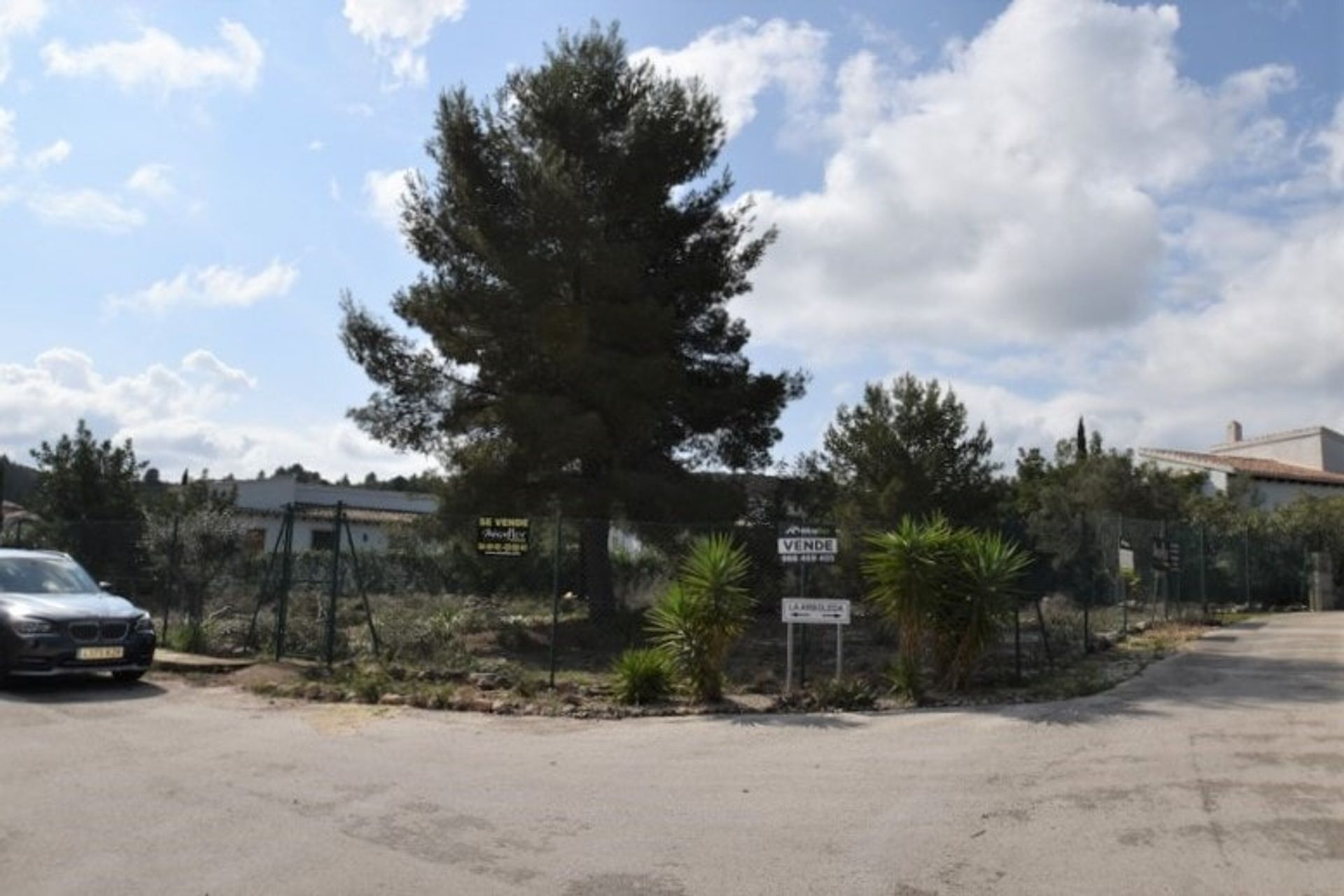 Land in Pego, Comunidad Valenciana 11500087