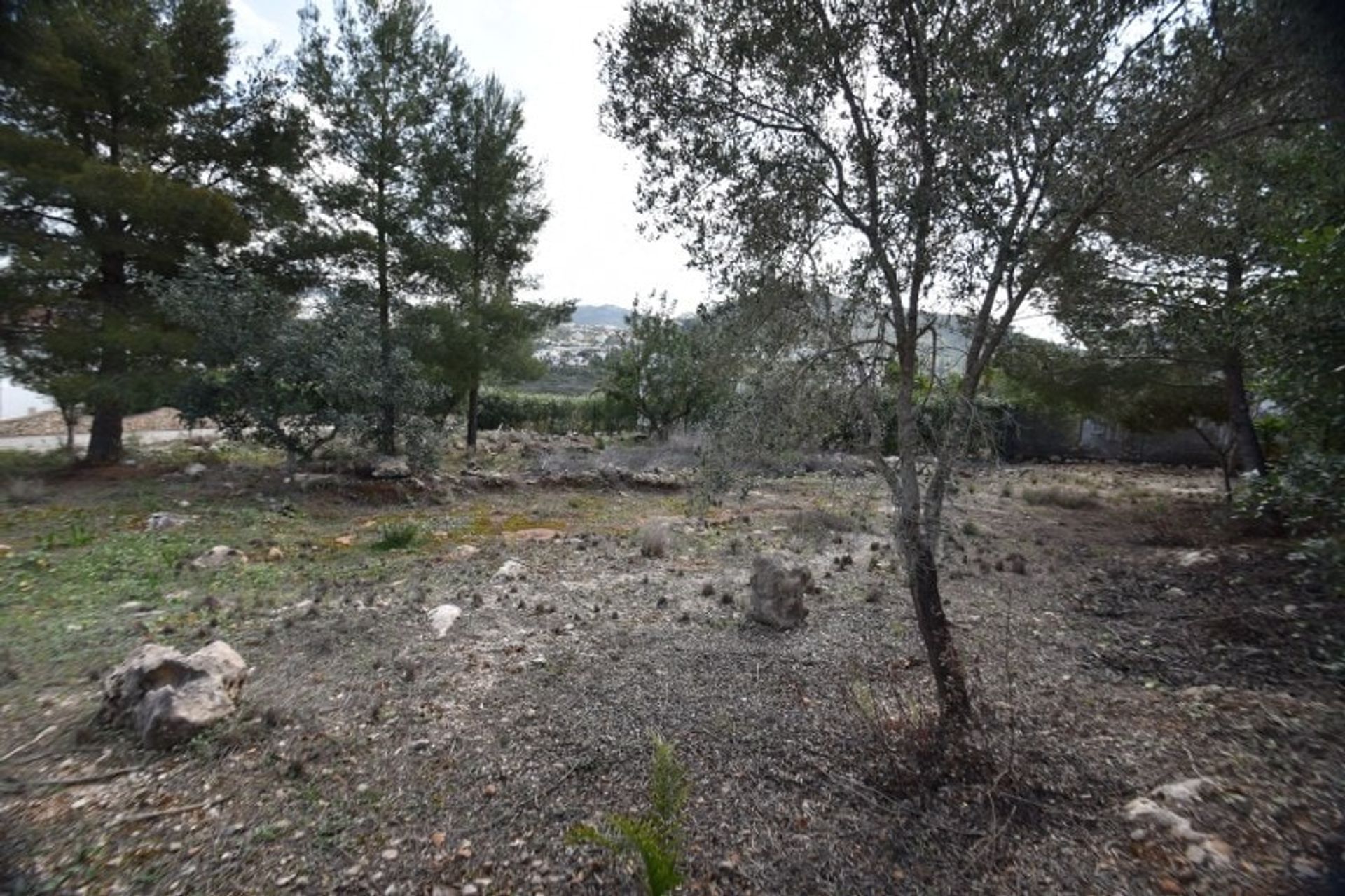 Land in Pego, Comunidad Valenciana 11500087