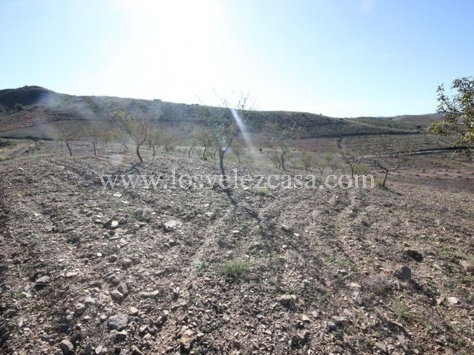 Tierra en Vélez-Rubio, Andalucía 11500468