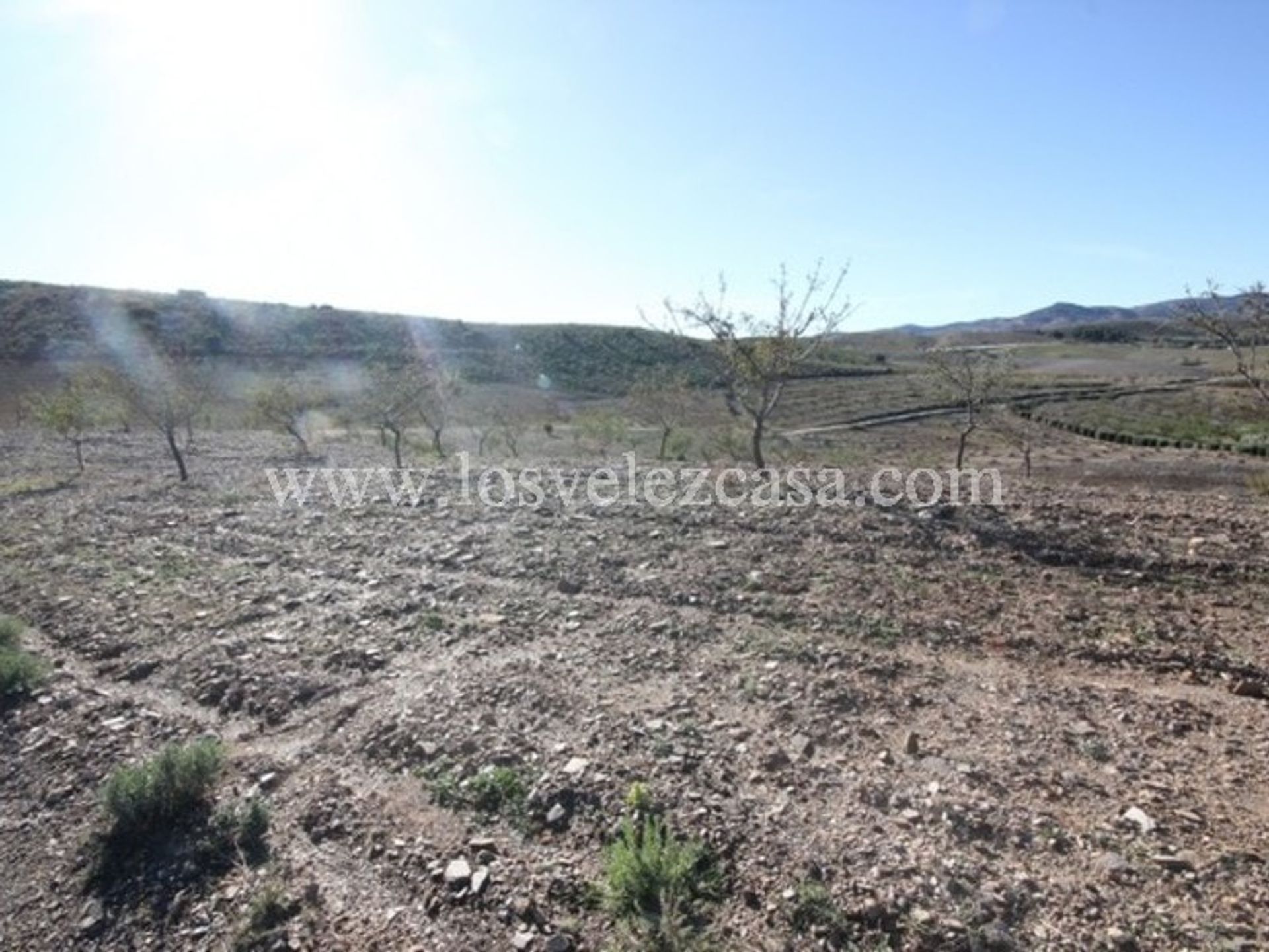 Tierra en Vélez-Rubio, Andalucía 11500468