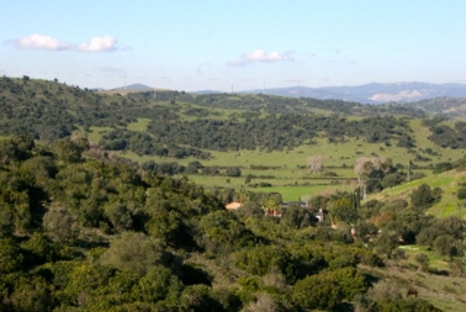 Land in Sotogrande, Andalusia 11501033