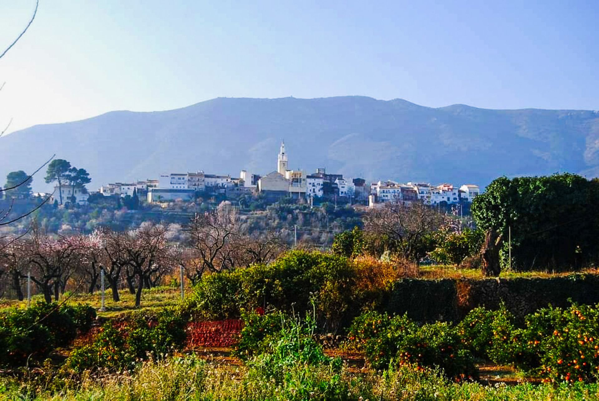 بيت في Alicante, Valencian Community 11501141